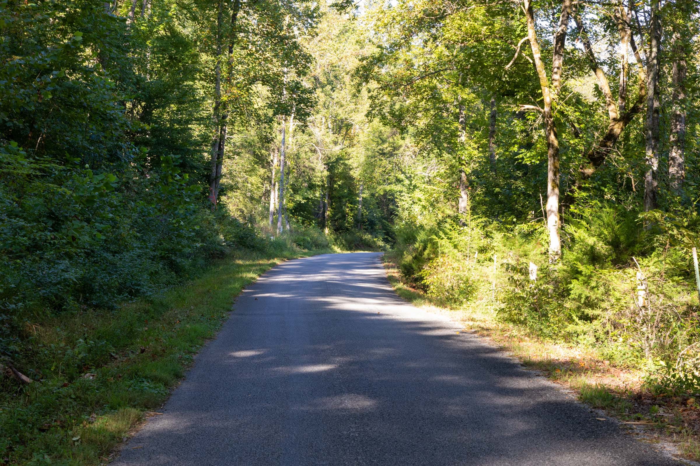 Big White Oak Tract 4 photo 6
