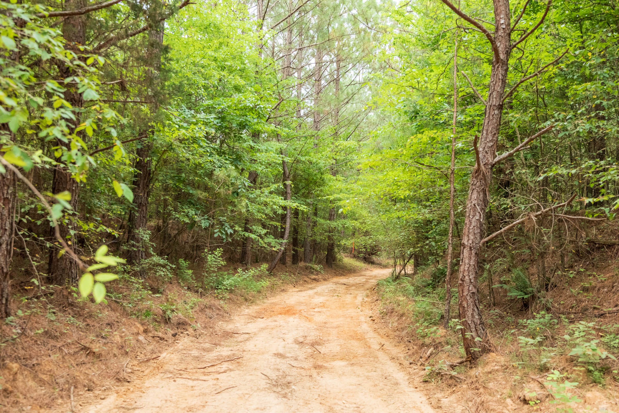 Whiskey Ridge Tract 62 photo 2