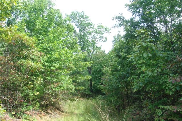 Sugartree Falls Tract 30 photo 3