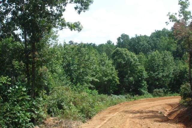 Sugartree Falls Tract 30 photo 1