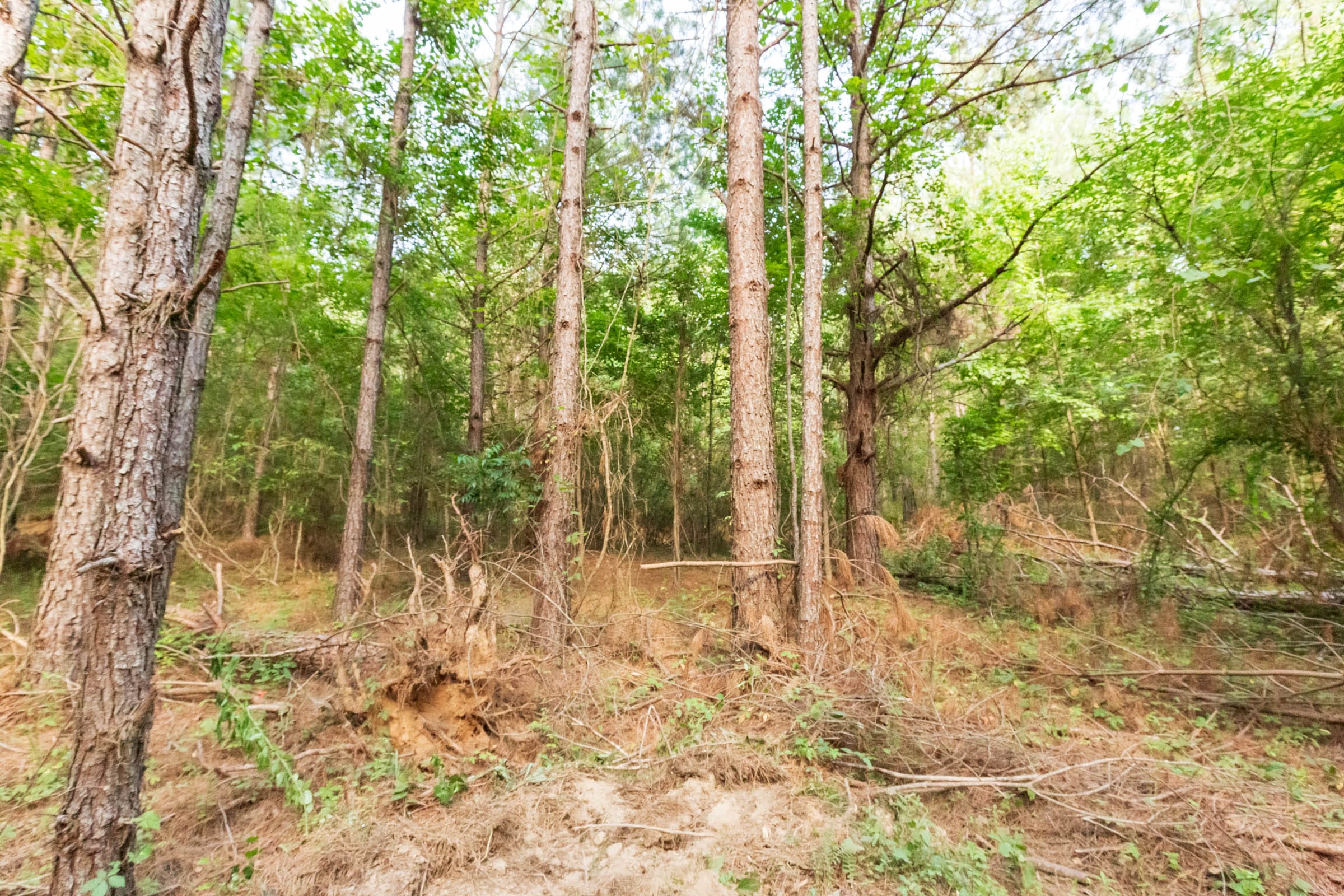 Whiskey Ridge Tract 70 photo 5