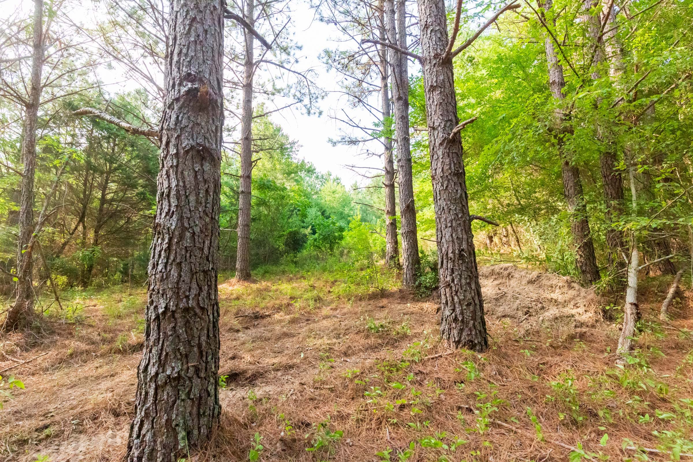 Whiskey Ridge Tract 70 photo 1