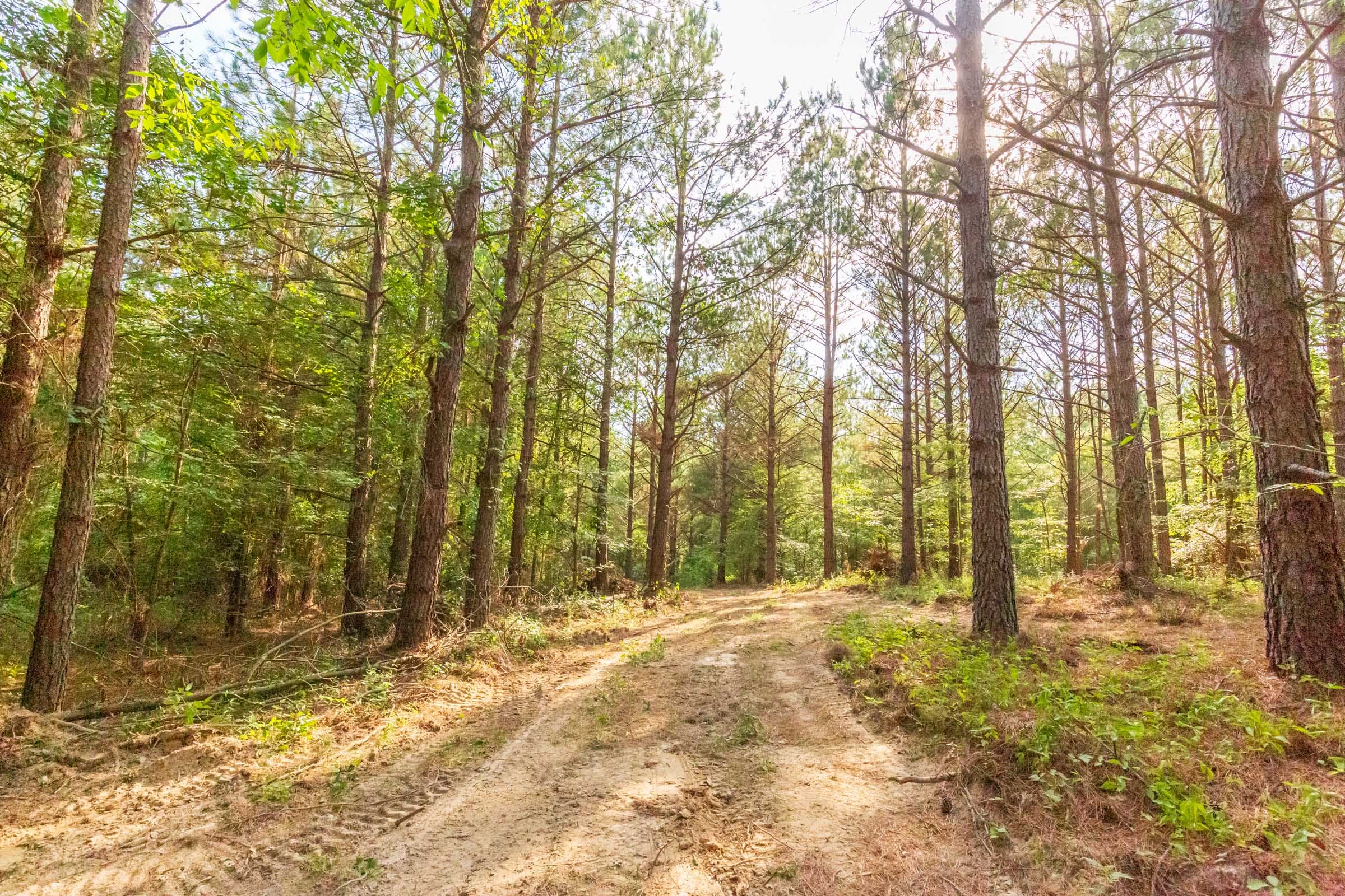 Whiskey Ridge Tract 70 photo 2