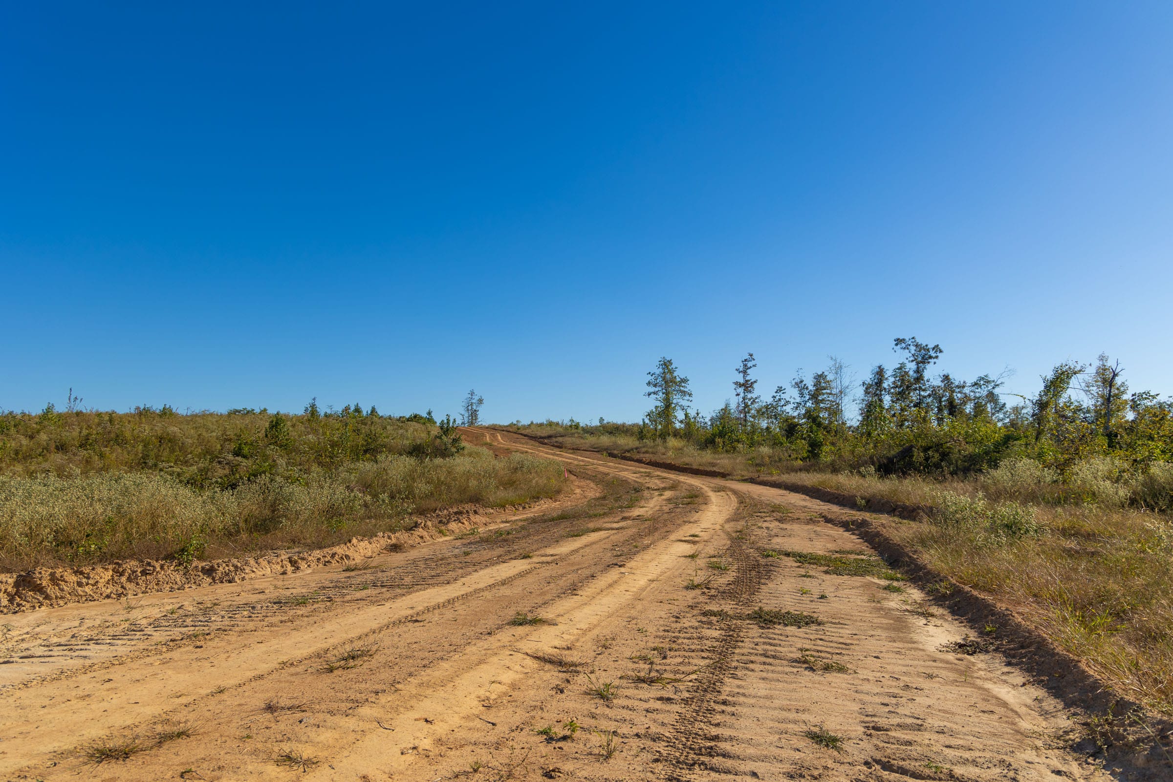 Meyer’s Ridge Tract 11 photo 3