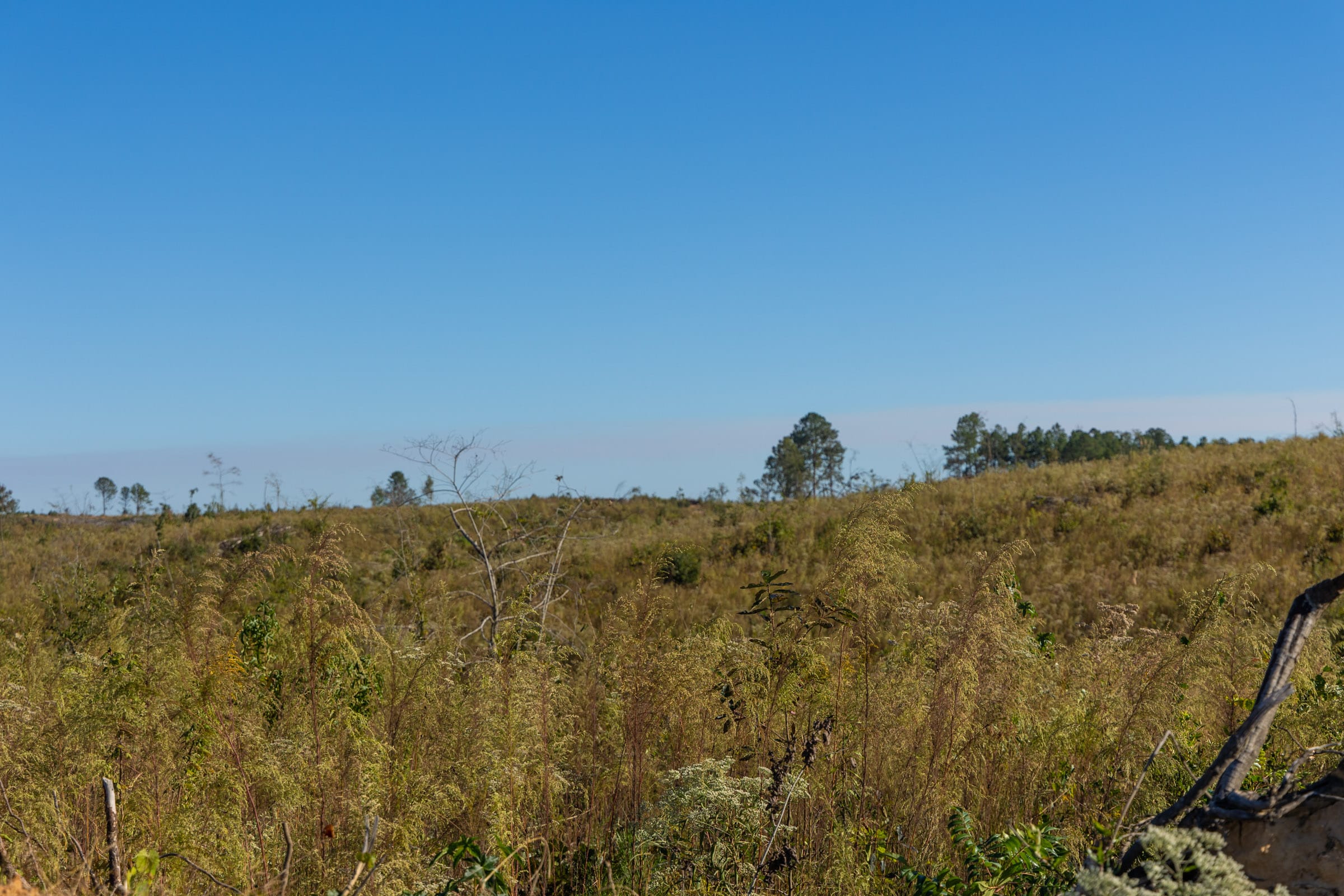 Meyer’s Ridge Tract 11 photo 9