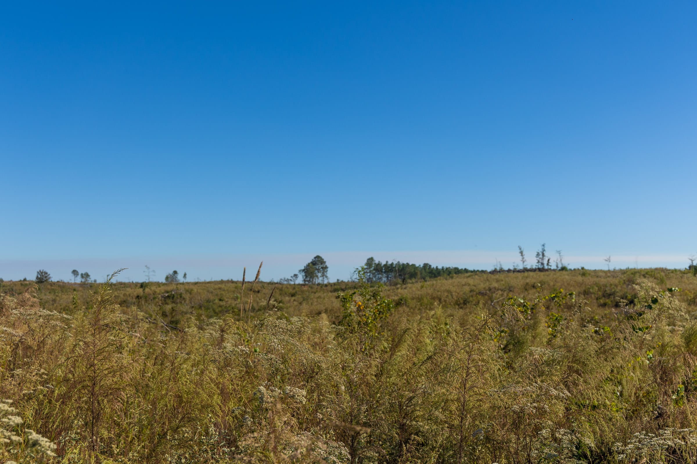 Meyer’s Ridge Tract 11 photo 6