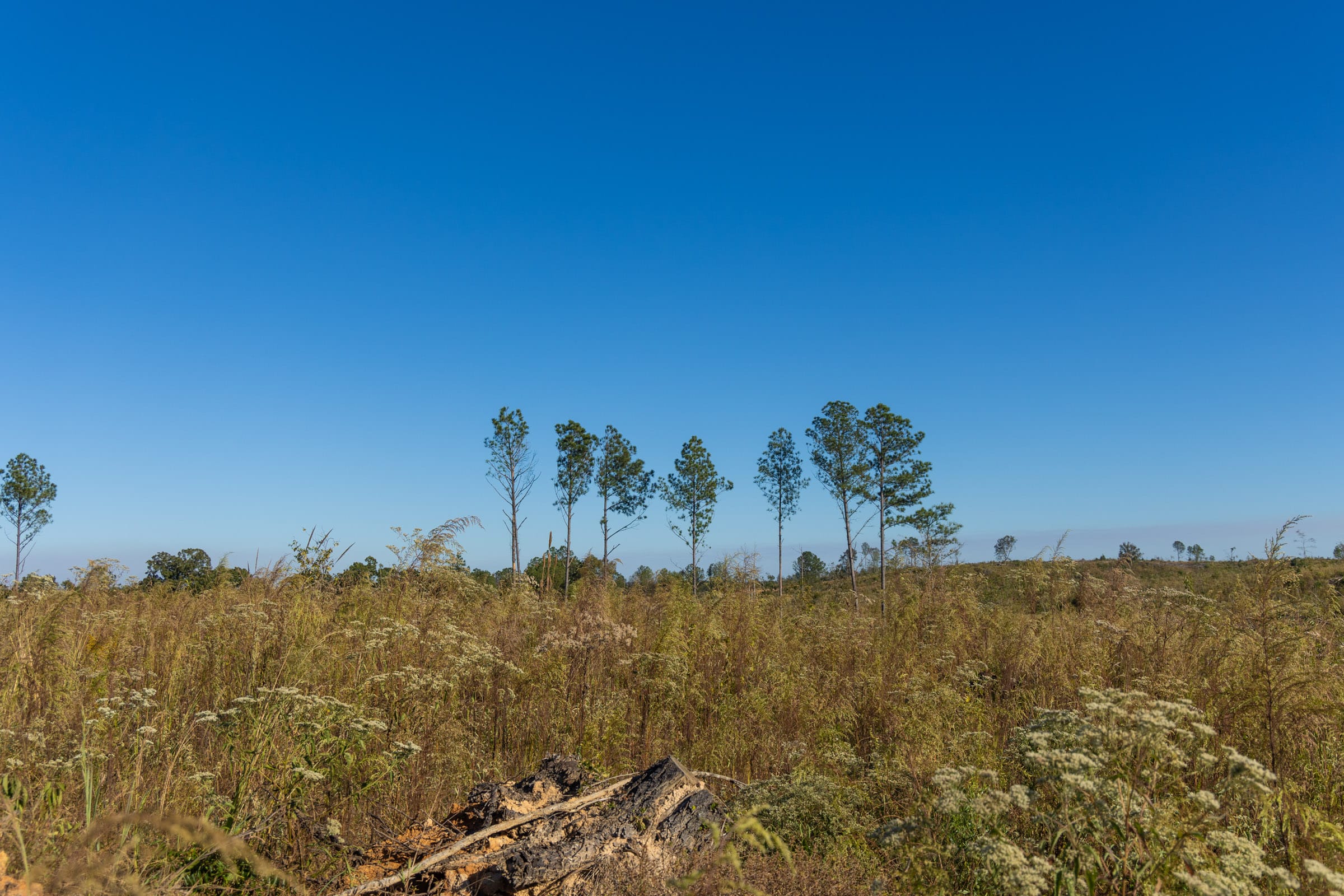 Meyer’s Ridge Tract 11 photo 5