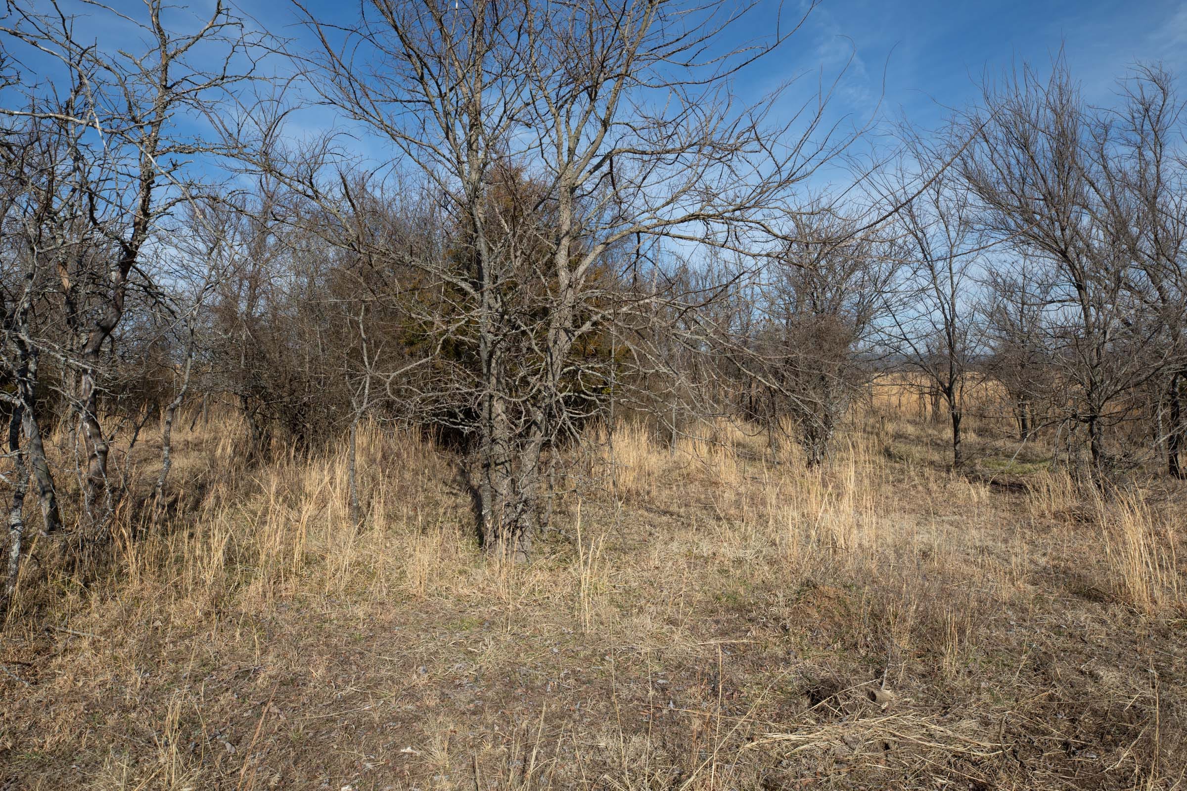 Painted Horse Tract 28 photo 2