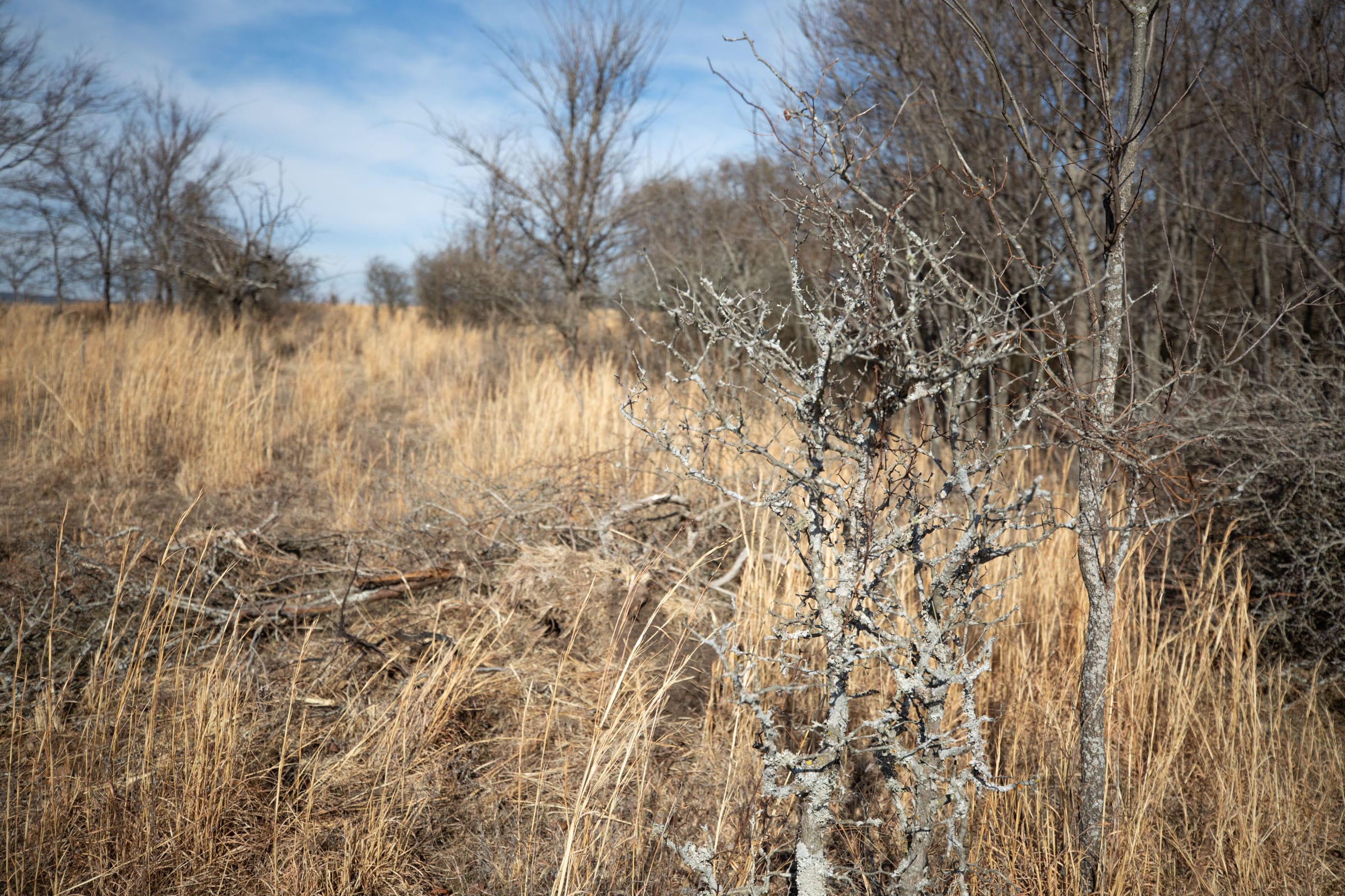 Painted Horse Tract 28 photo 6