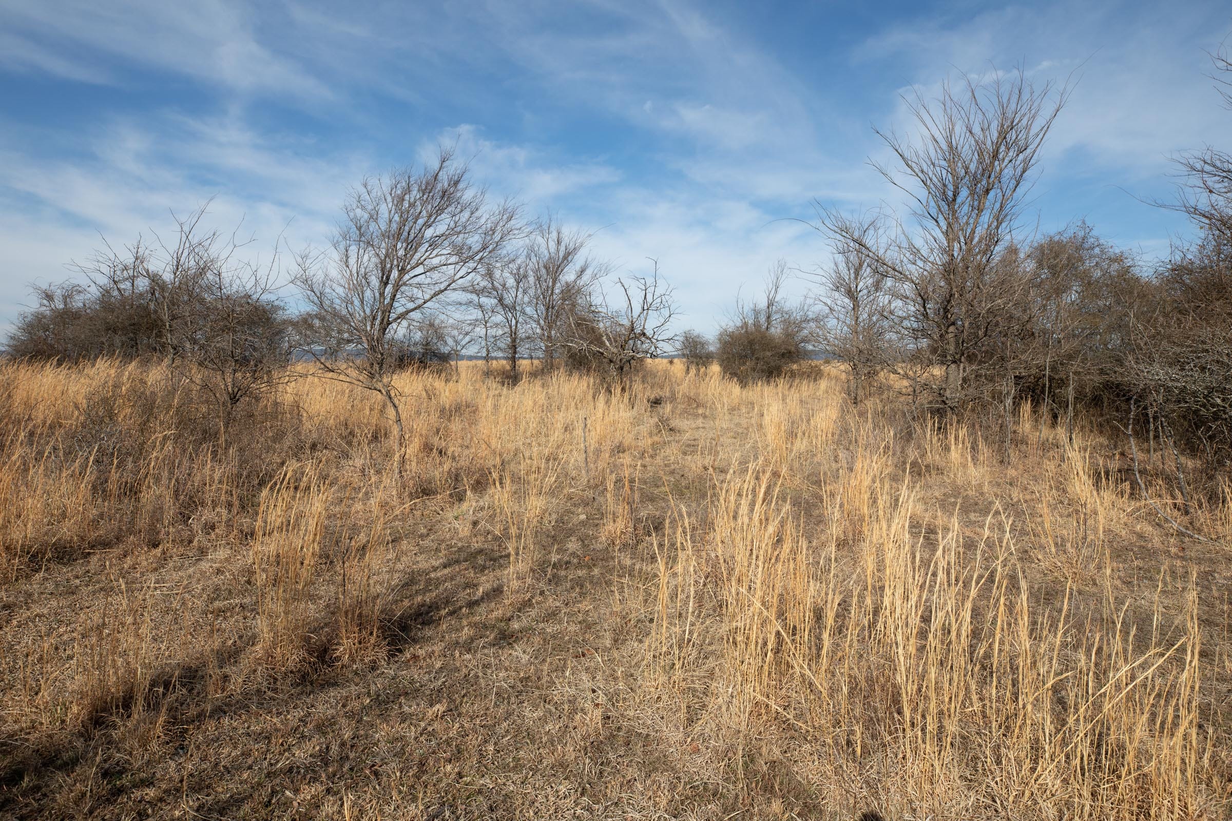 Painted Horse Tract 28 photo 8