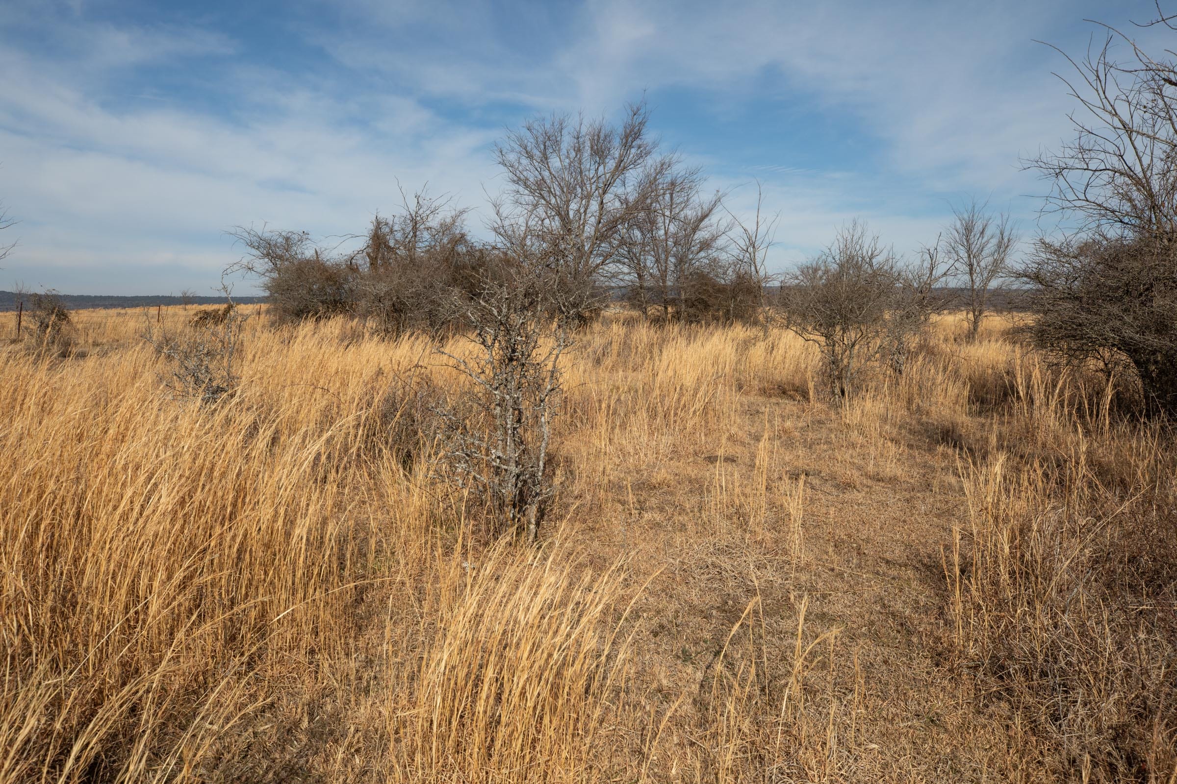 Painted Horse Tract 28 photo 9
