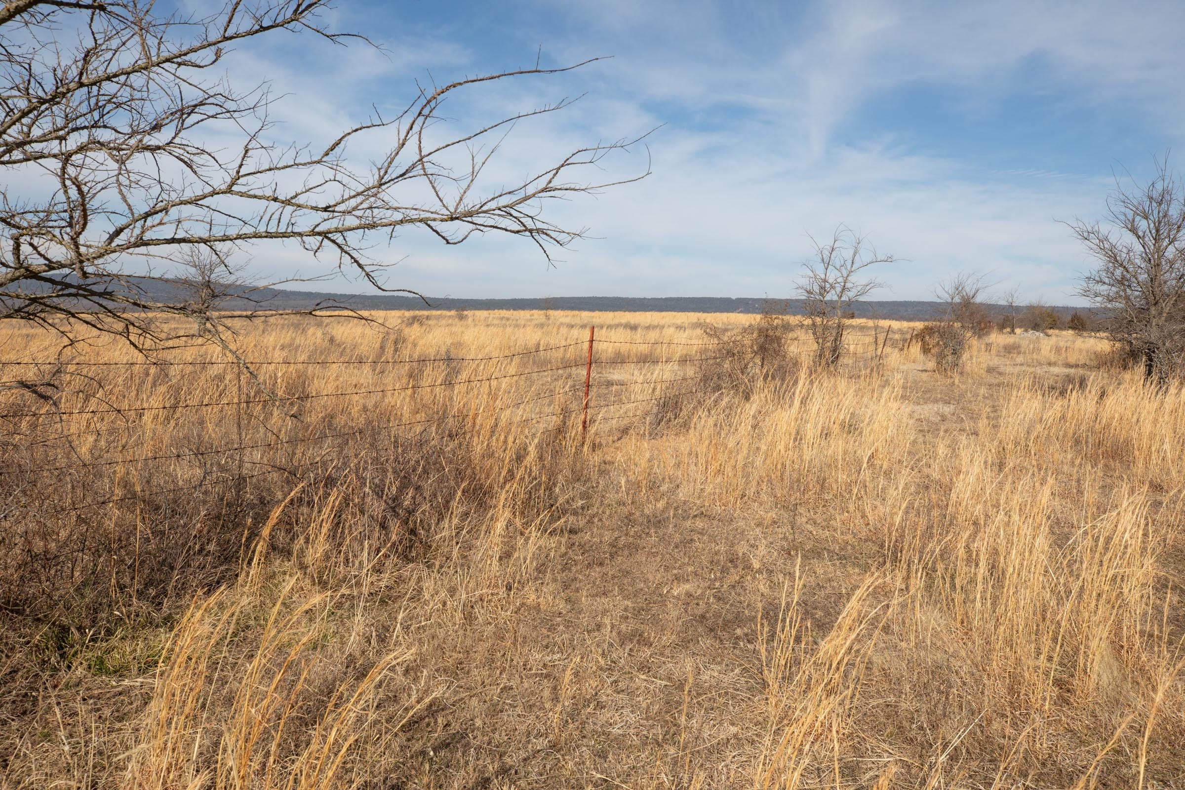 Painted Horse Tract 28 photo 10