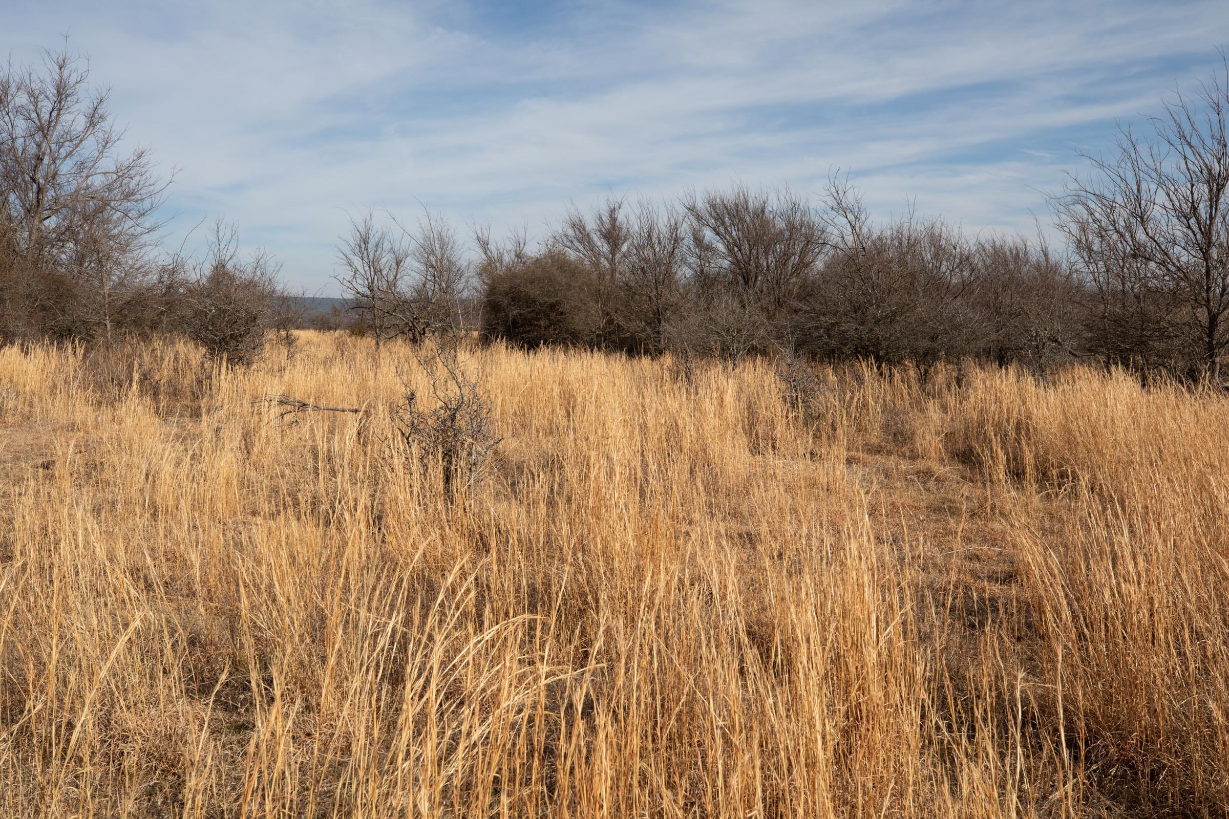 Painted Horse Tract 28 photo 11