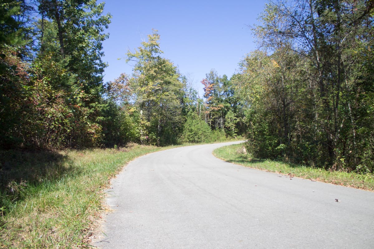 Upper Line Creek Tract 6 photo 1