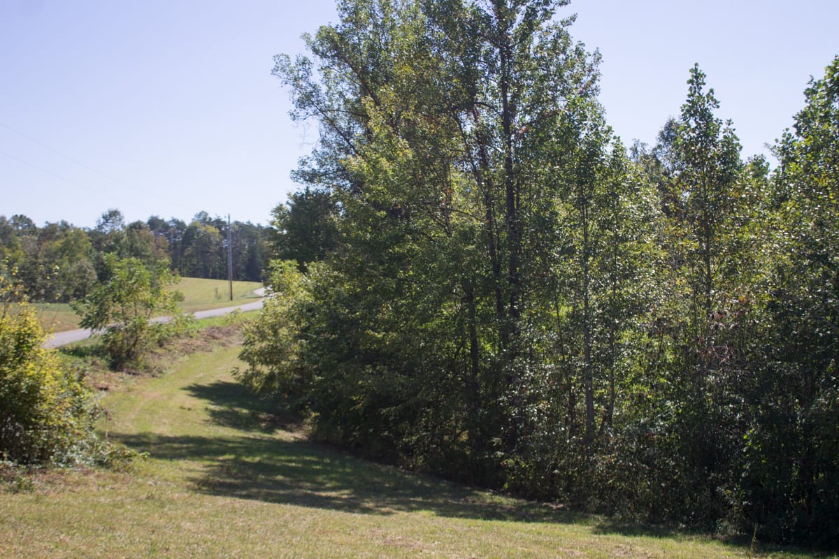 Upper Line Creek Tract 6 photo 11