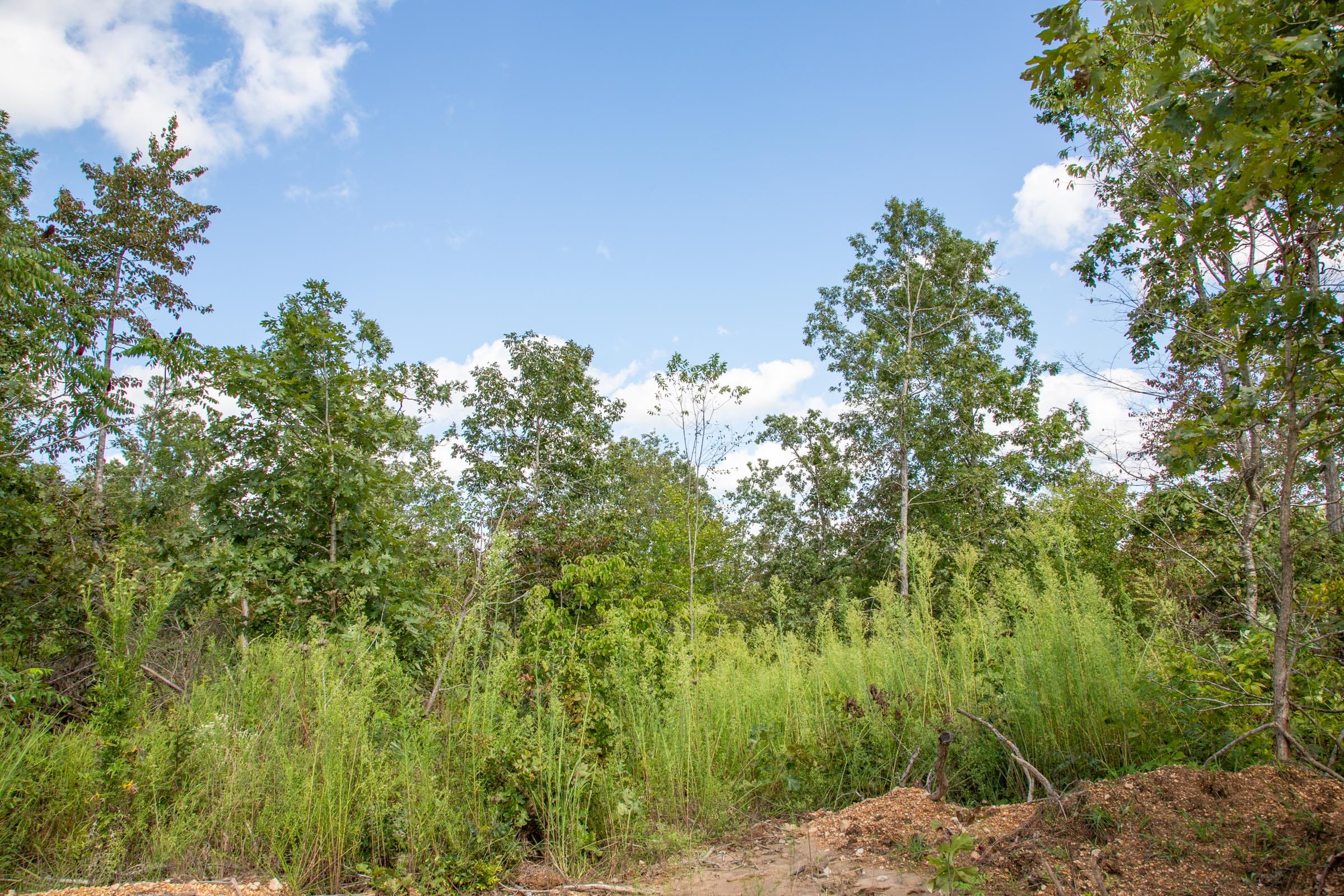 Borgmann’s Hollow Phase II Tract 60 photo 2
