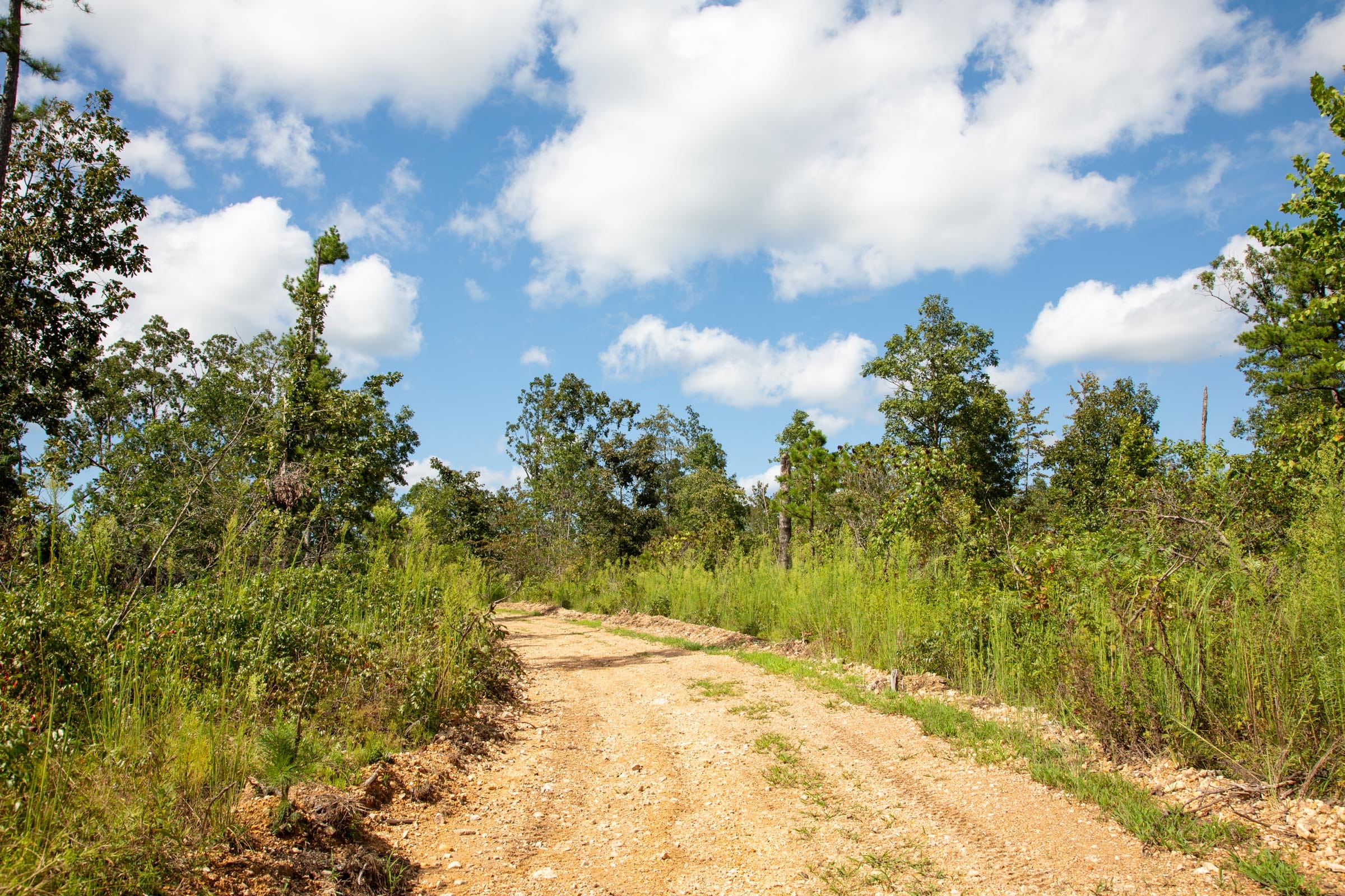 Borgmann’s Hollow Phase II Tract 60 photo 5