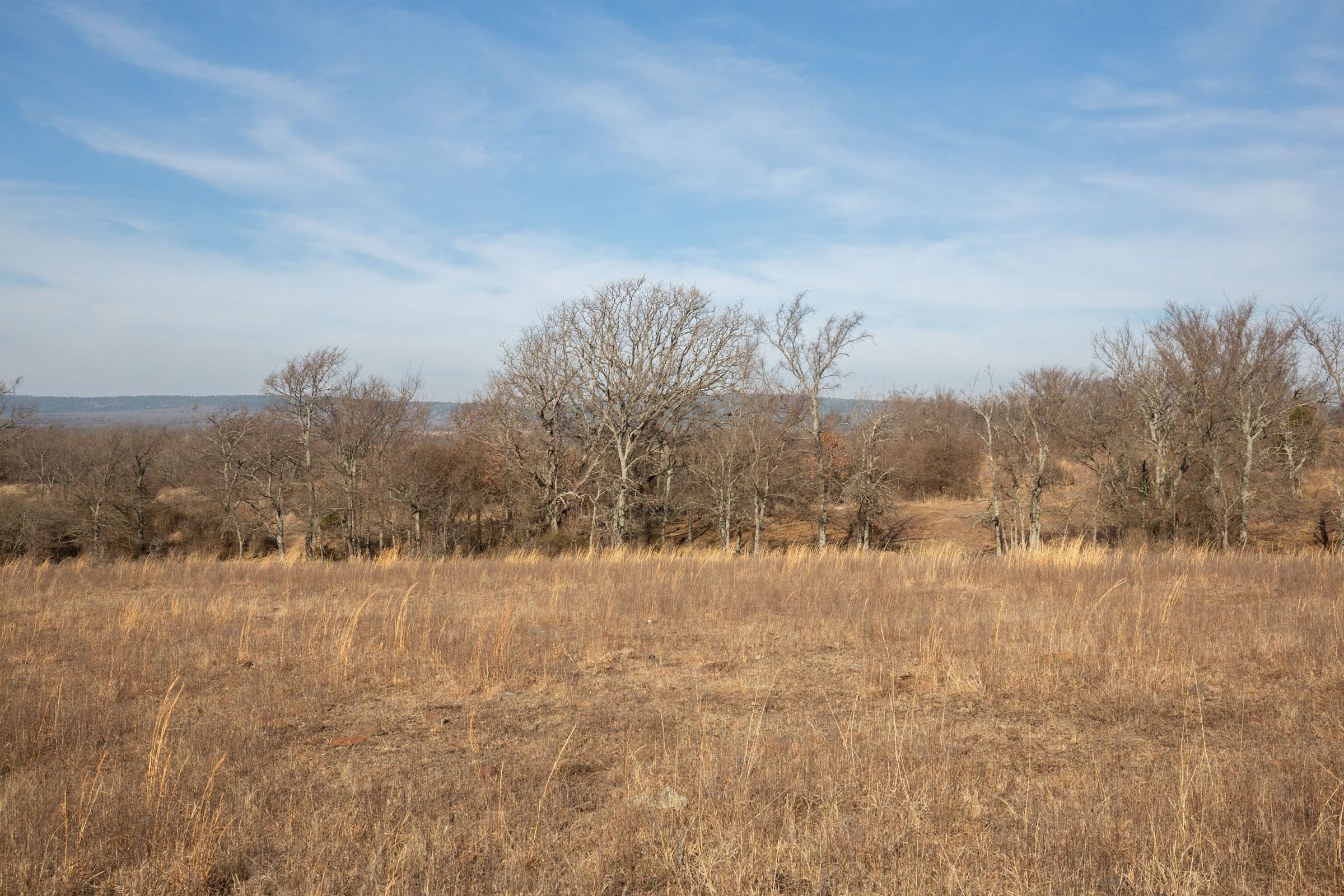 Painted Horse Tract 10 photo 6