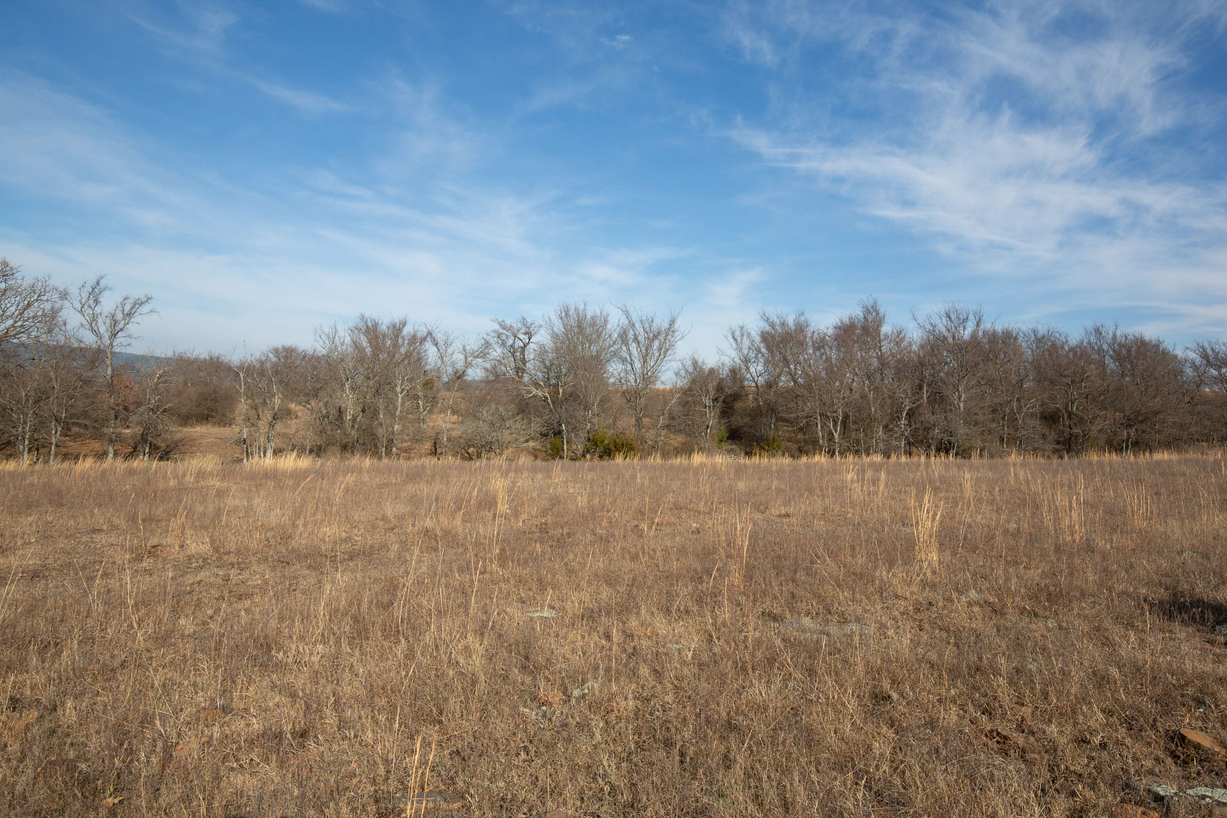Painted Horse Tract 10 photo 7