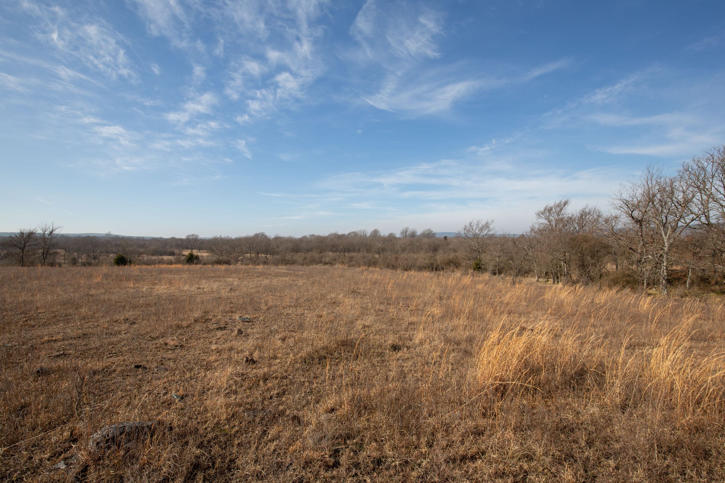 Painted Horse Tract 10 photo 8