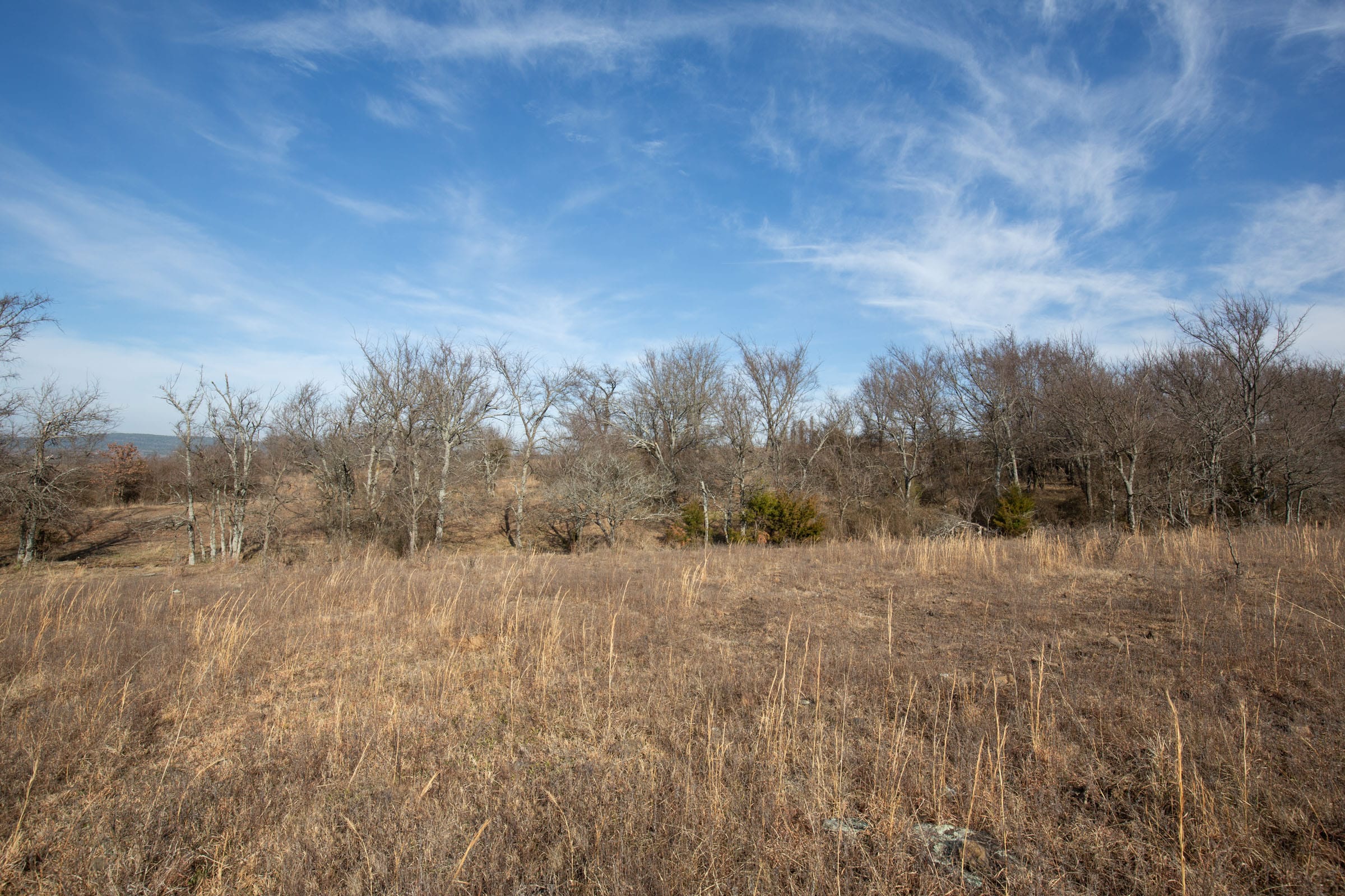 Painted Horse Tract 10 photo 12