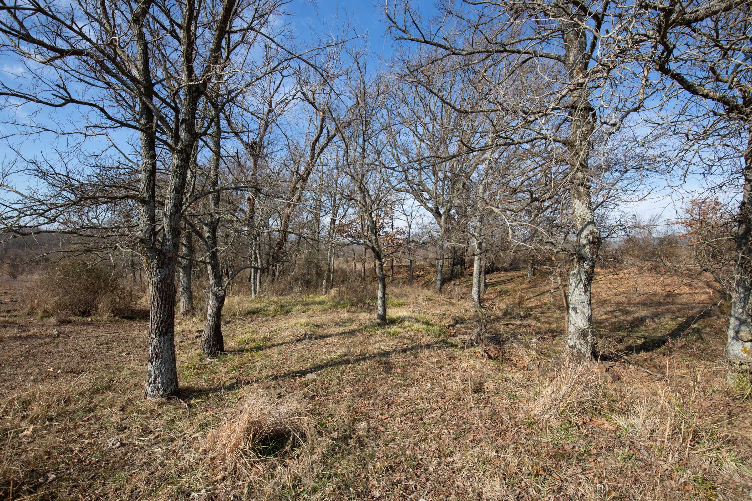 Painted Horse Tract 10 photo 11