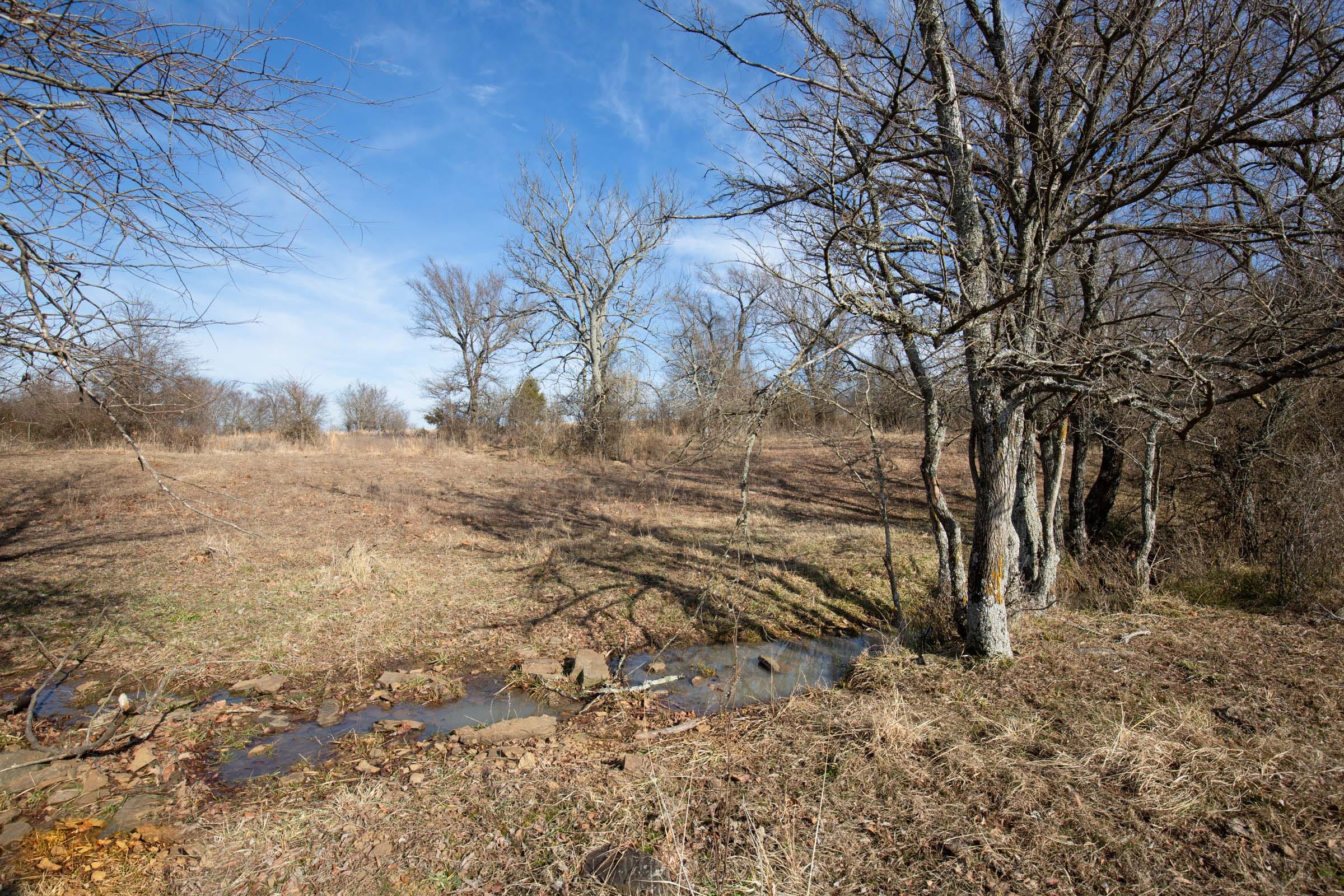 Painted Horse Tract 10 photo 3