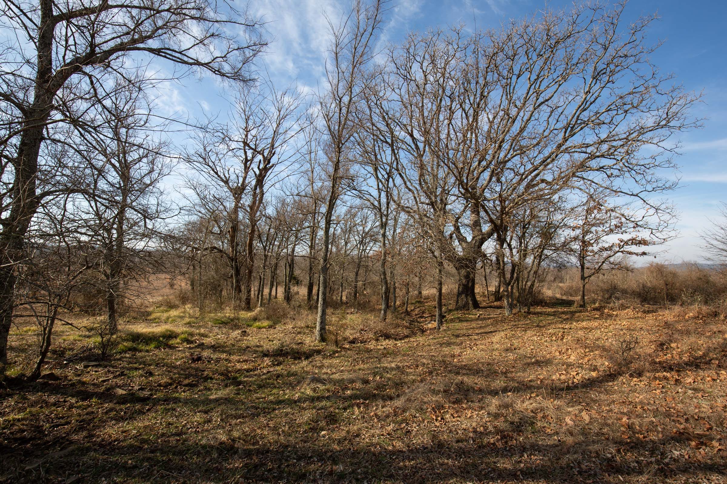 Painted Horse Tract 10 photo 13