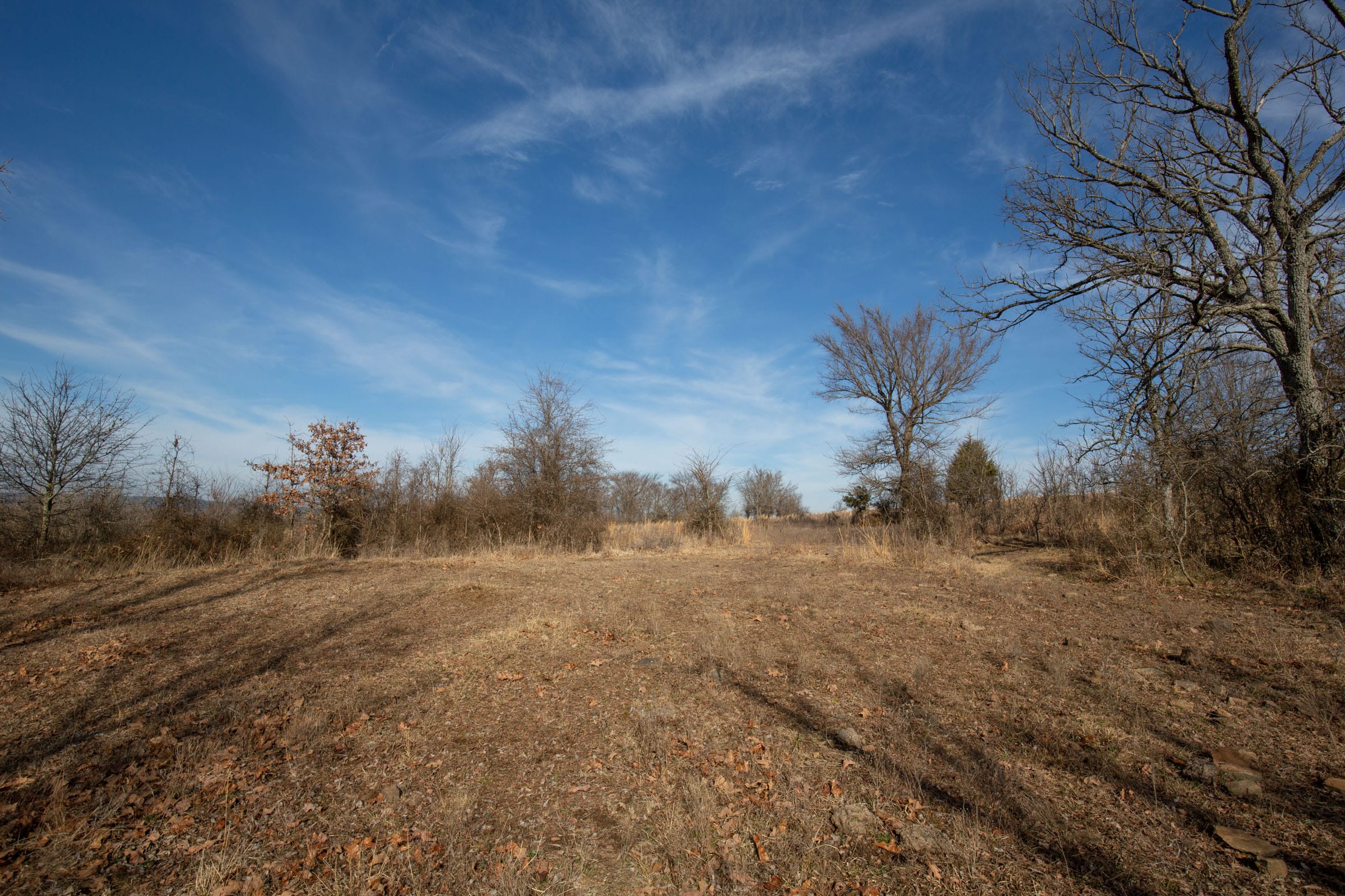 Painted Horse Tract 10 photo 15