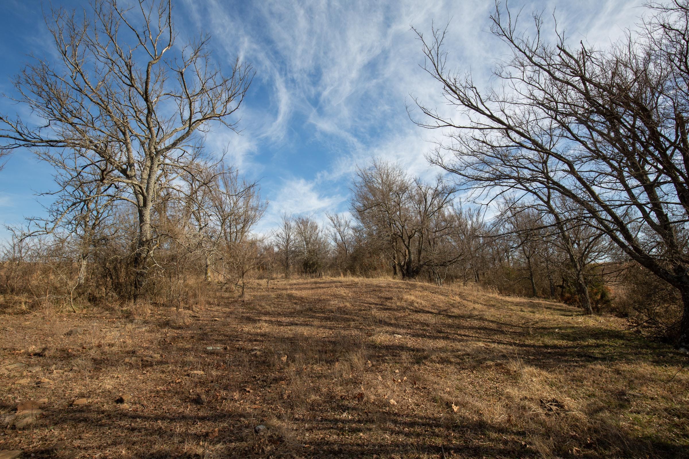Painted Horse Tract 10 photo 14