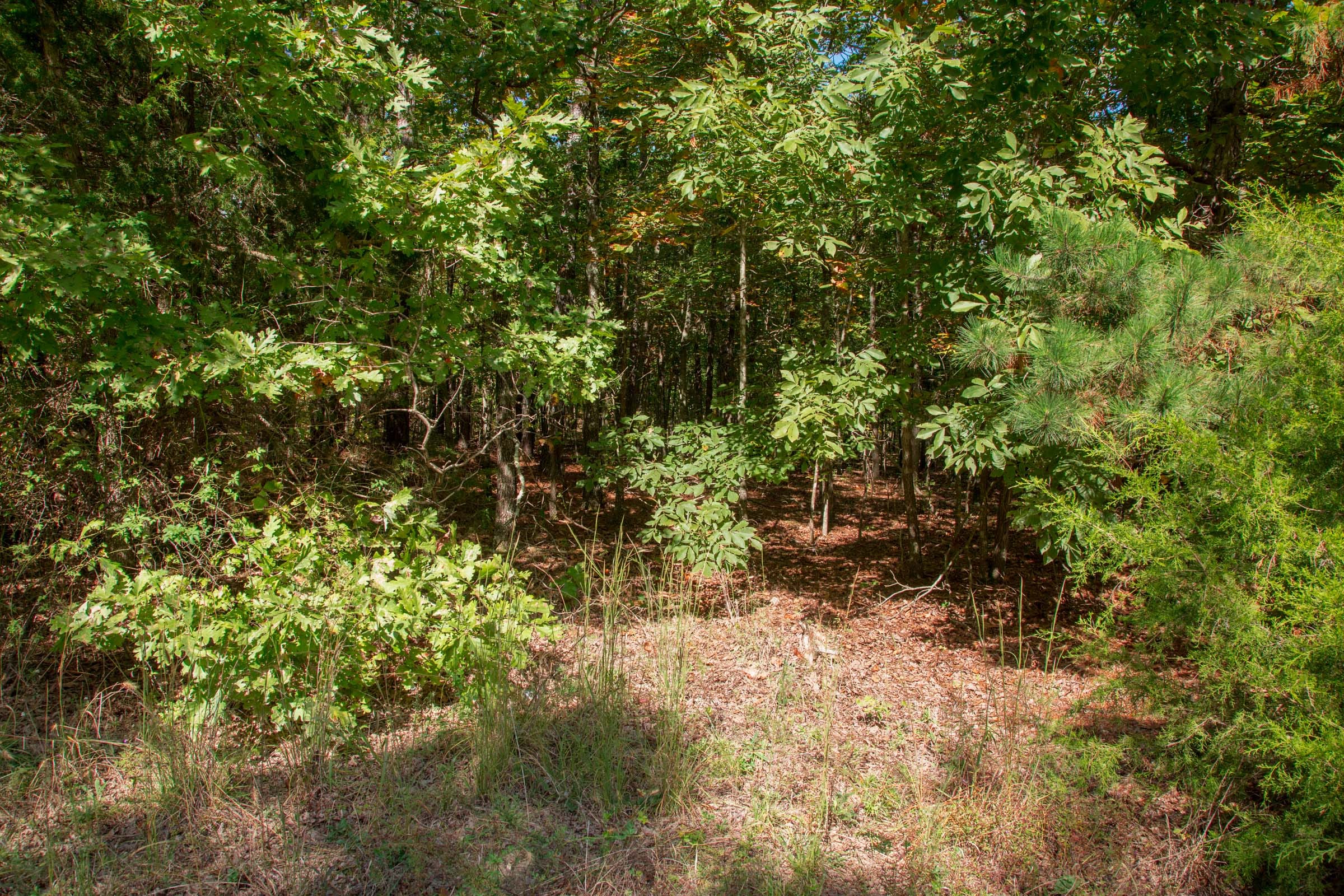 Wagon Wheel Ranch Tract 1 photo 2