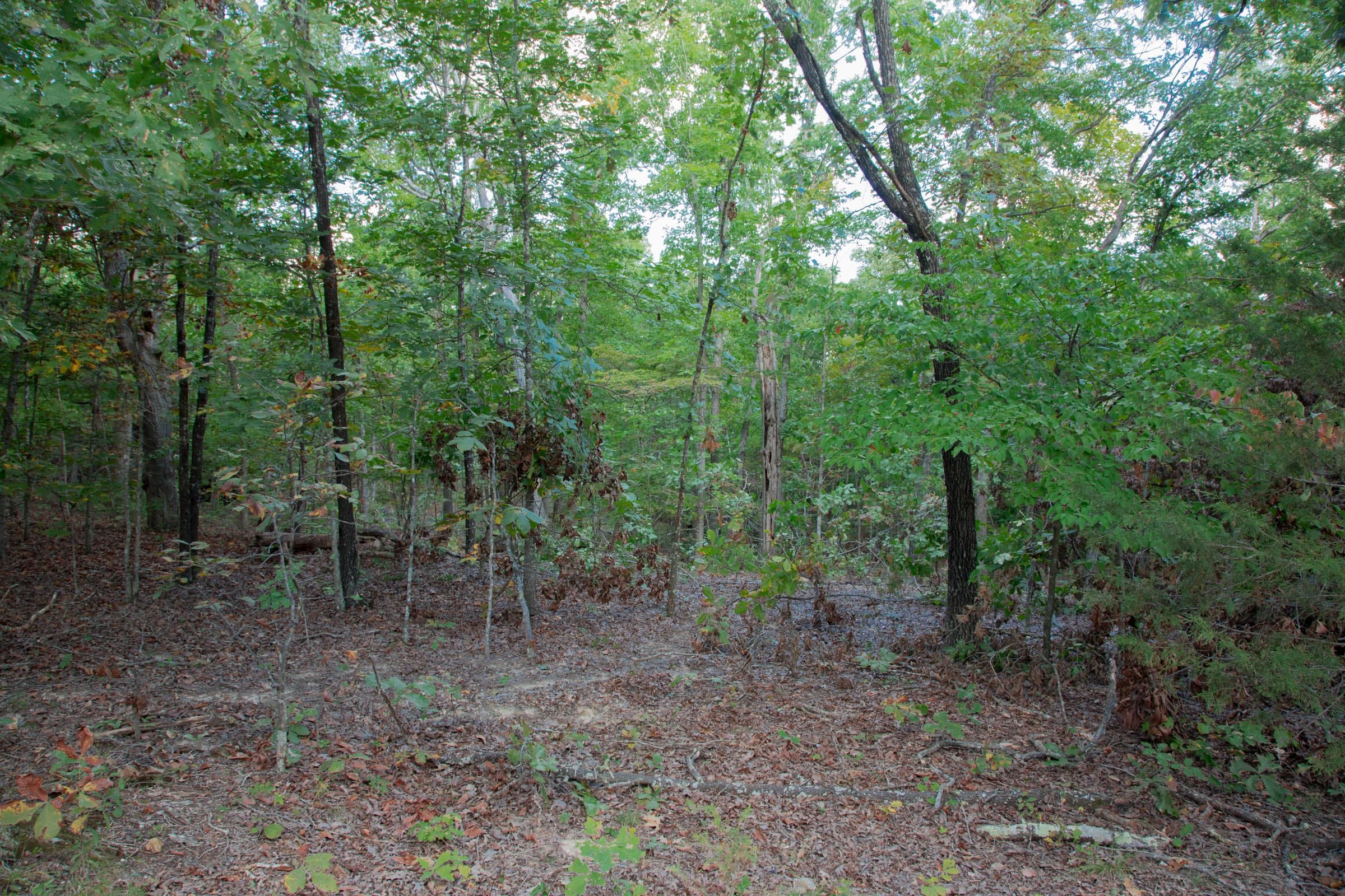 Wagon Wheel Ranch Tract 1 photo 7