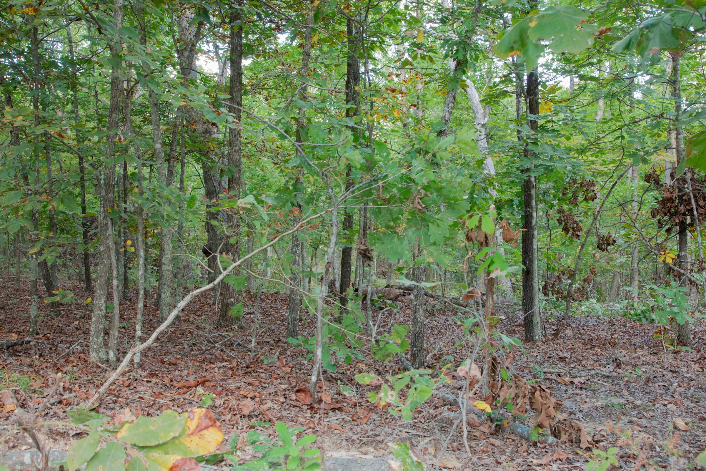 Wagon Wheel Ranch Tract 1 photo 10