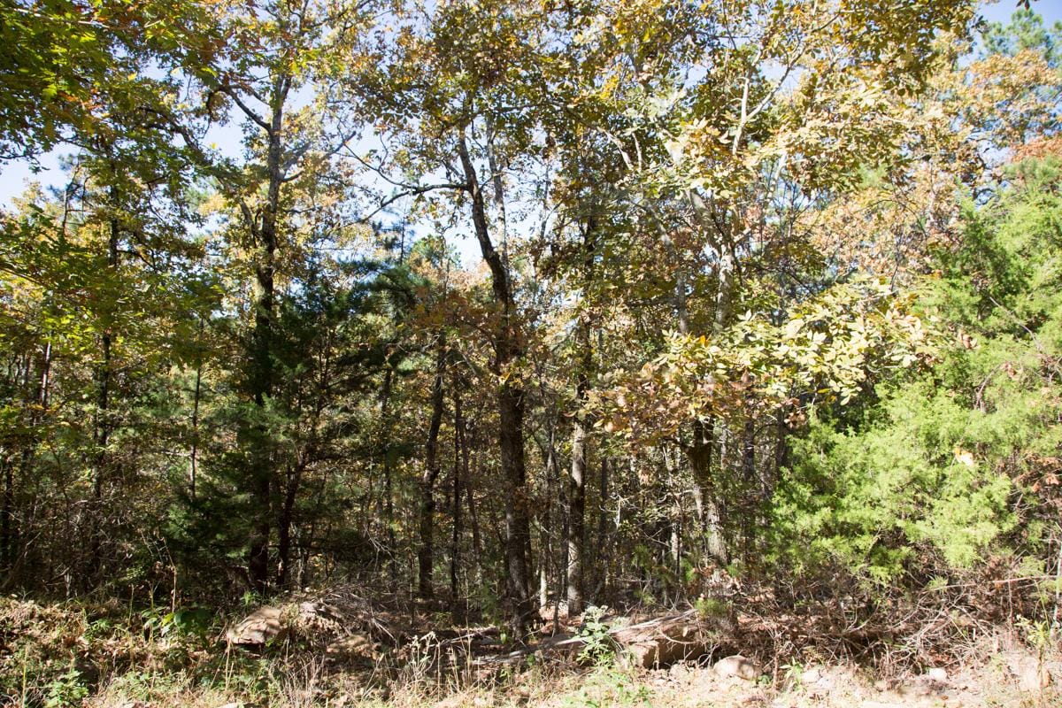 Stone Creek Phase I Tract 101 photo 3