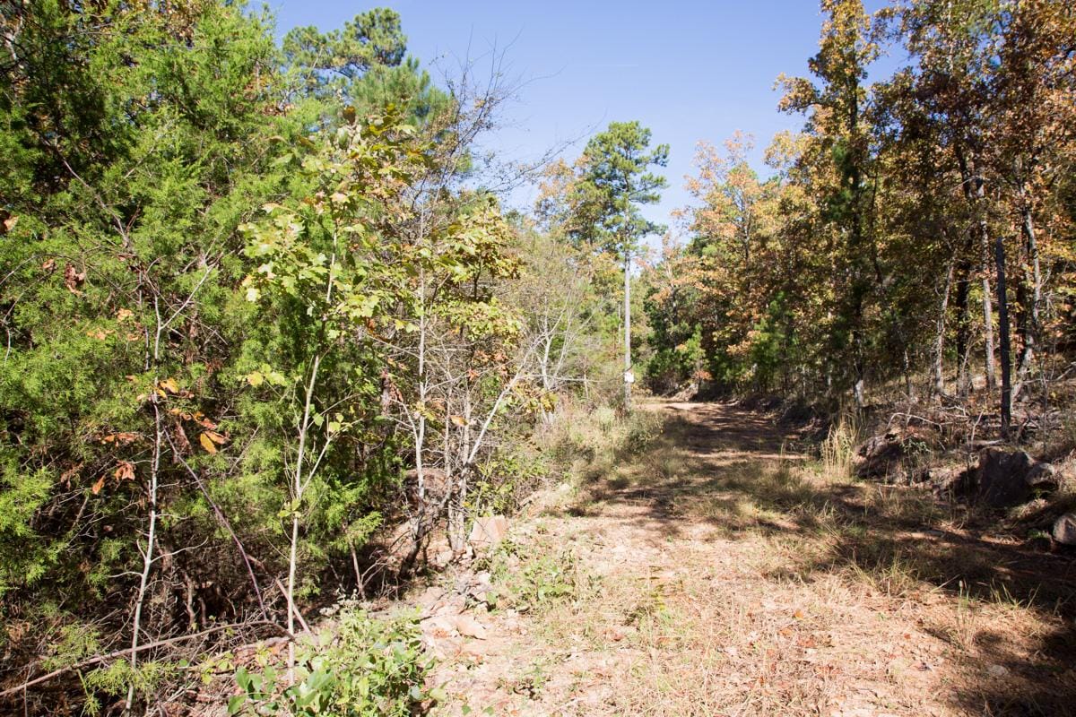 Stone Creek Phase I Tract 101 photo 2