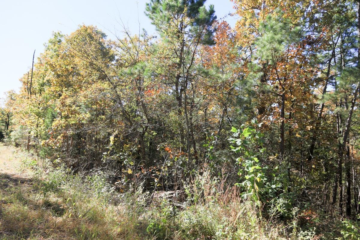Stone Creek Phase I Tract 101 photo 5
