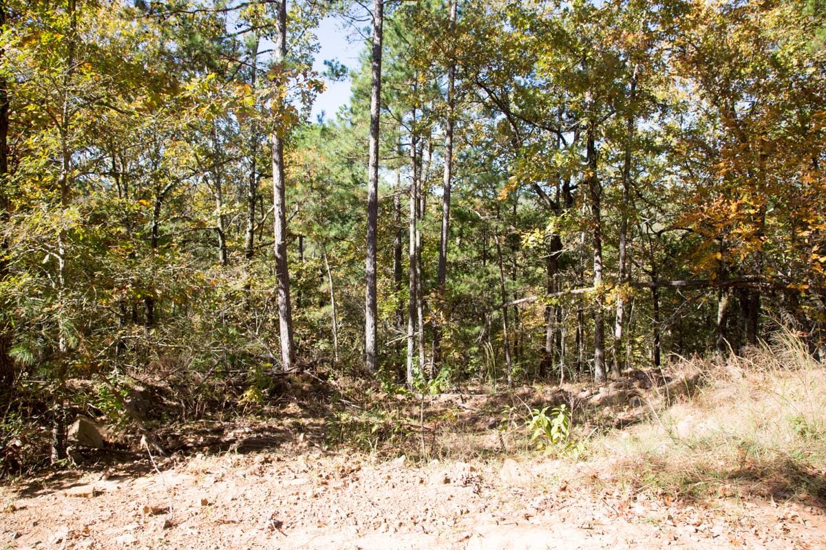 Stone Creek Phase I Tract 101 photo 6