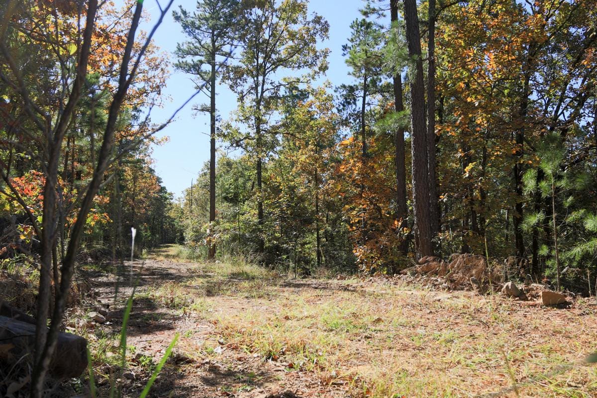 Stone Creek Phase I Tract 101 photo 8