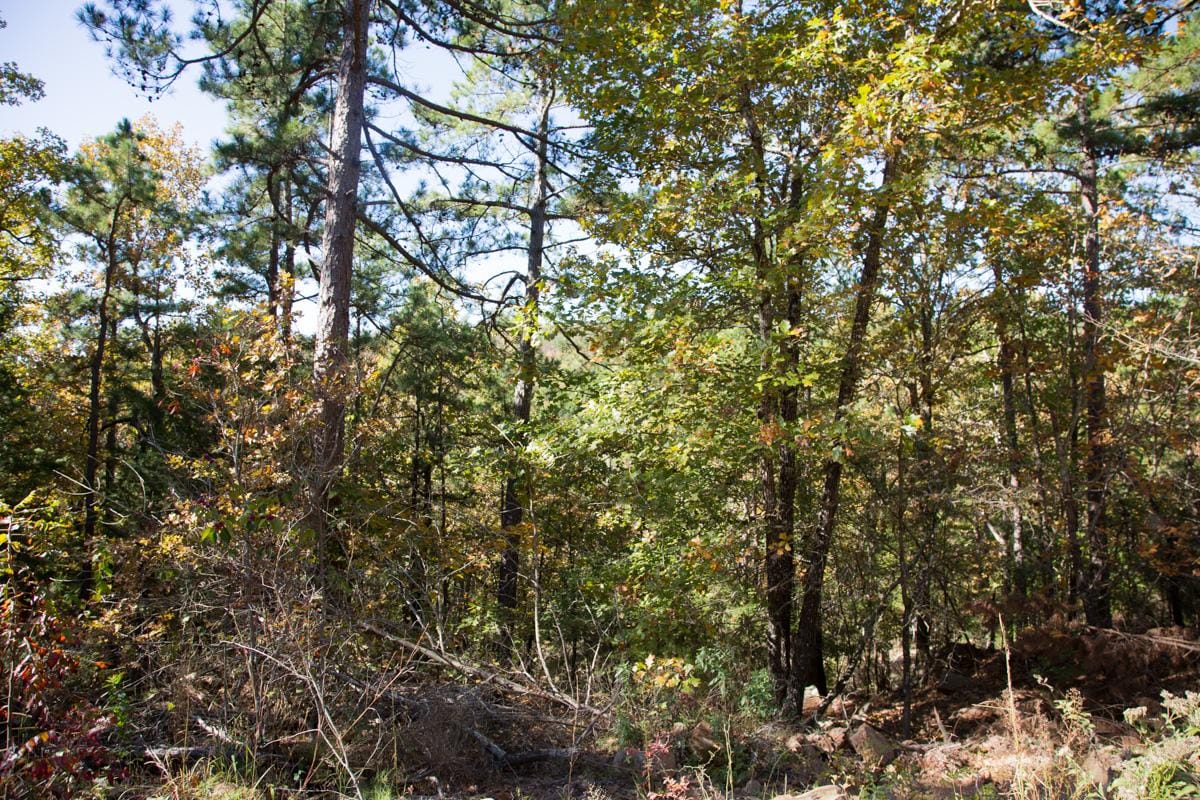Stone Creek Phase I Tract 101 photo 11