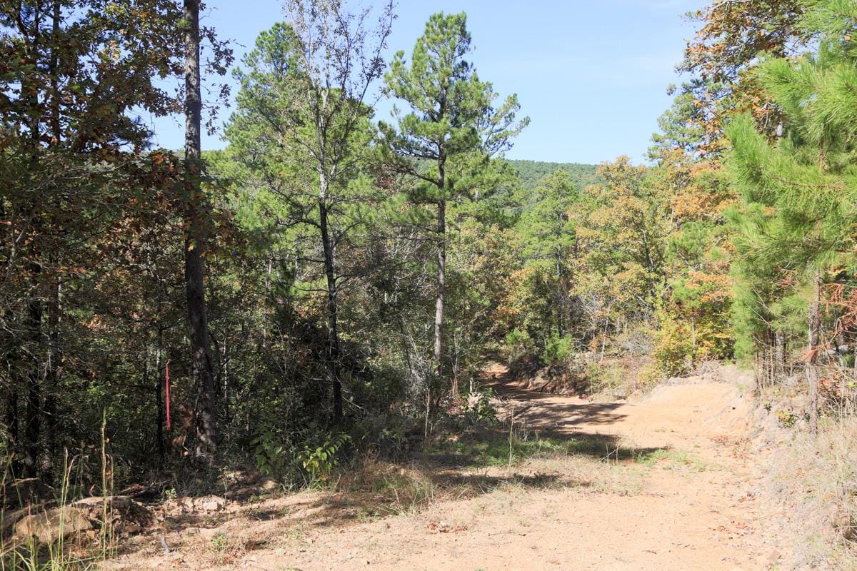 Stone Creek Phase I Tract 101 photo 12