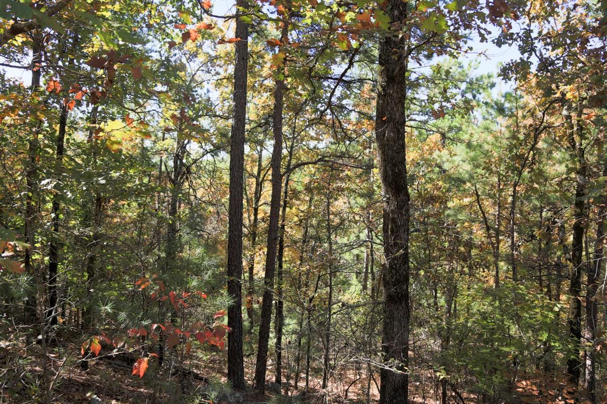 Stone Creek Phase I Tract 101 photo 14