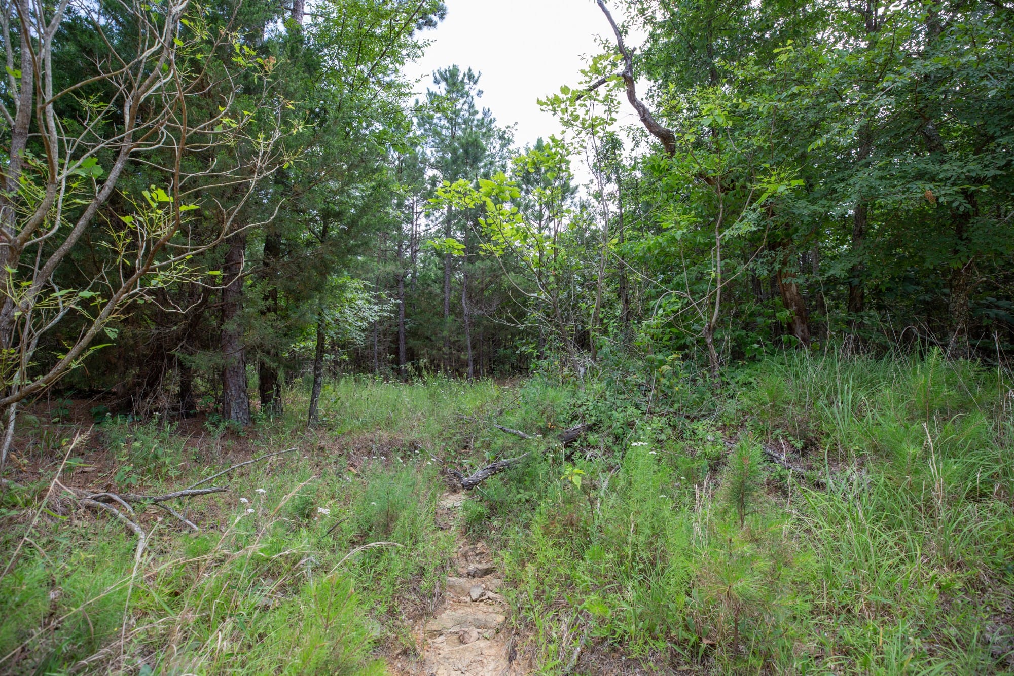Eagle’s Nest Tract 32 photo 3