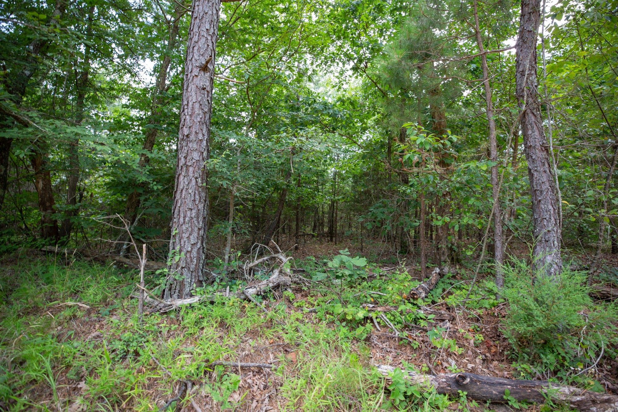 Eagle’s Nest Tract 32 photo 4