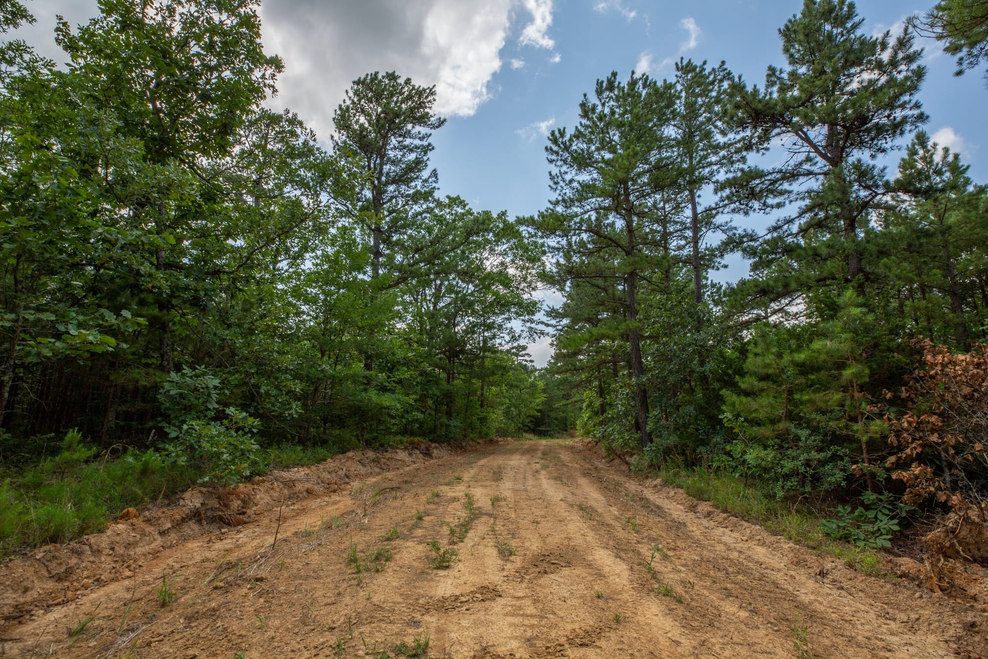 Eagle’s Nest Tract 32 photo 2