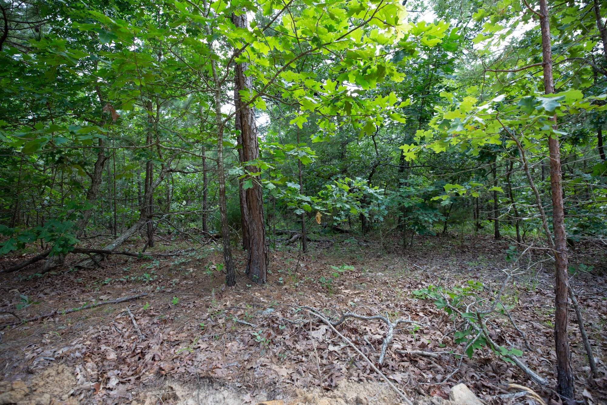 Eagle’s Nest Tract 32 photo 7