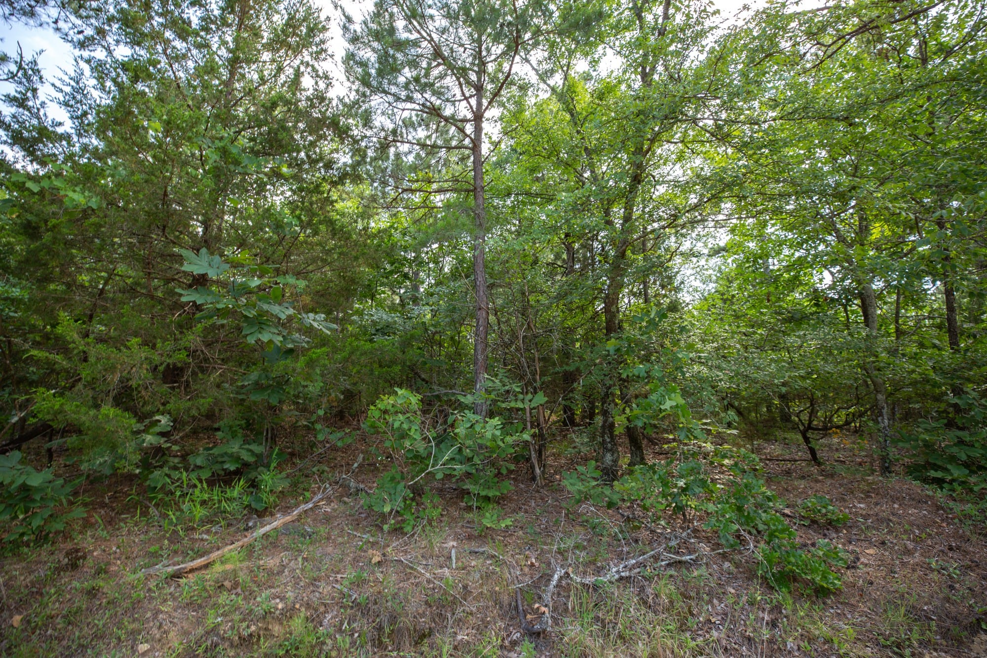 Eagle’s Nest Tract 32 photo 10