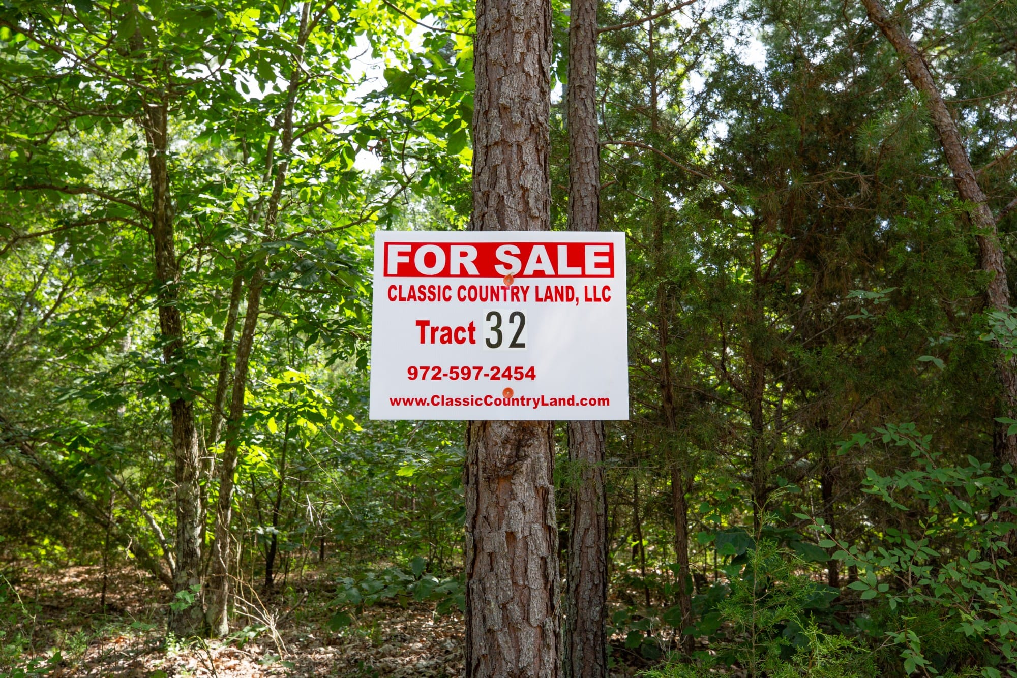 Eagle’s Nest Tract 32 photo 1