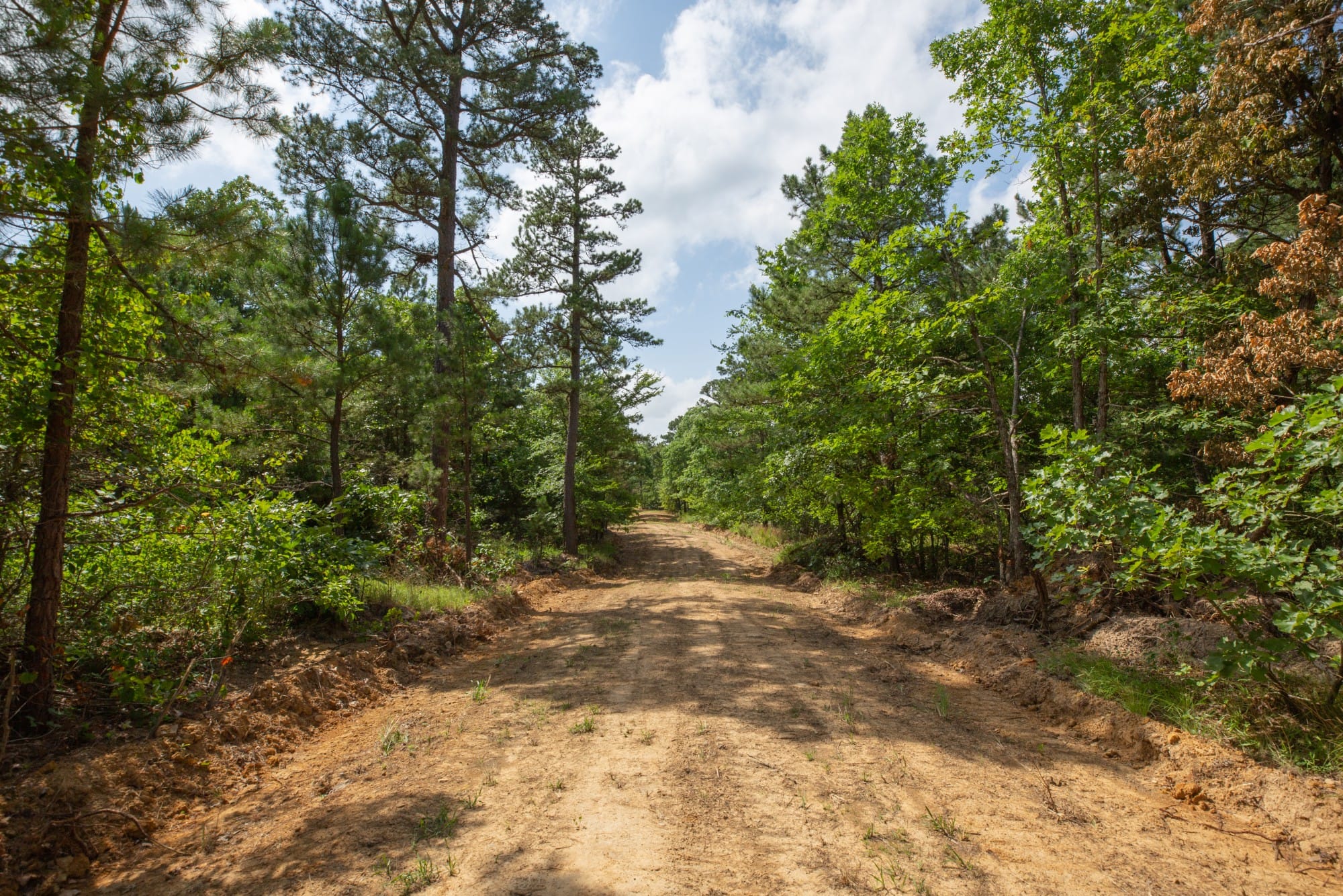 Eagle’s Nest Tract 32 photo 9