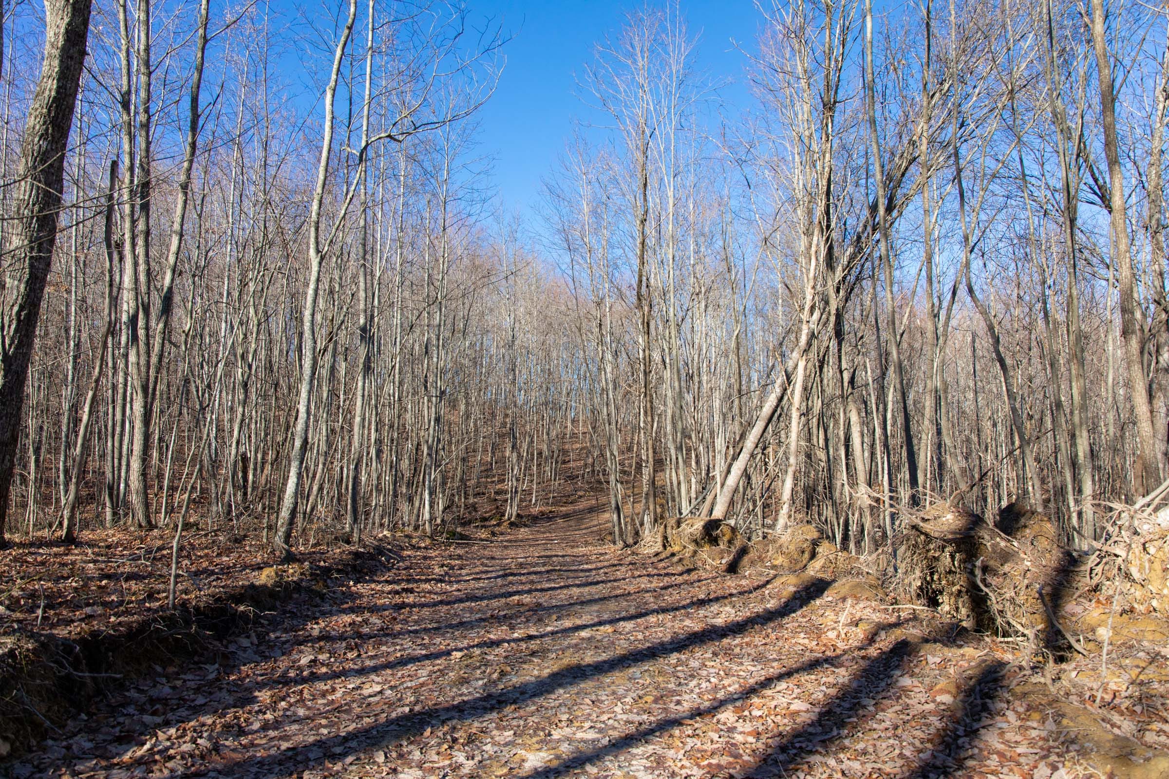 Blackstone Mountain Phase I Tract 47 photo 1