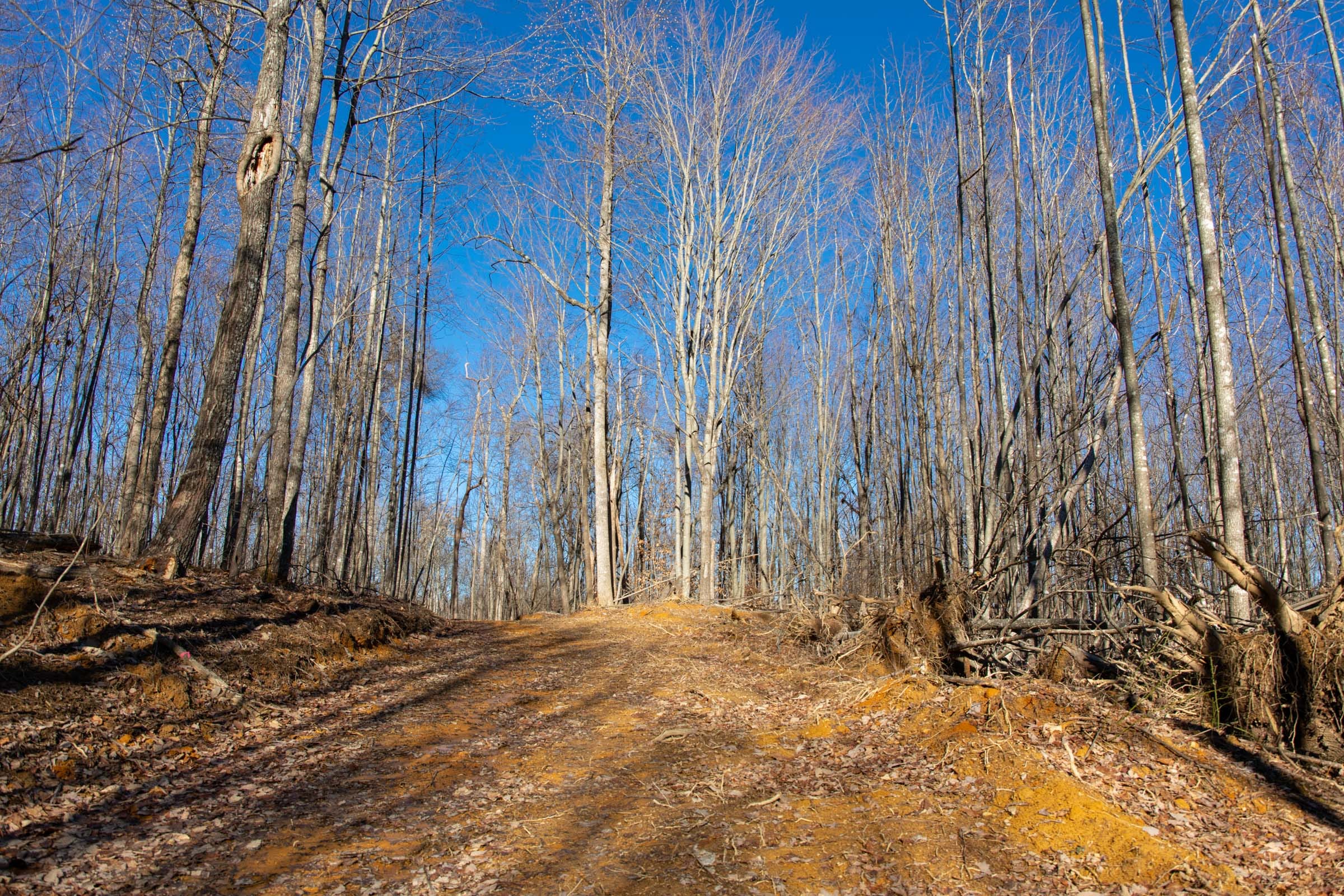 Blackstone Mountain Phase I Tract 47 photo 7